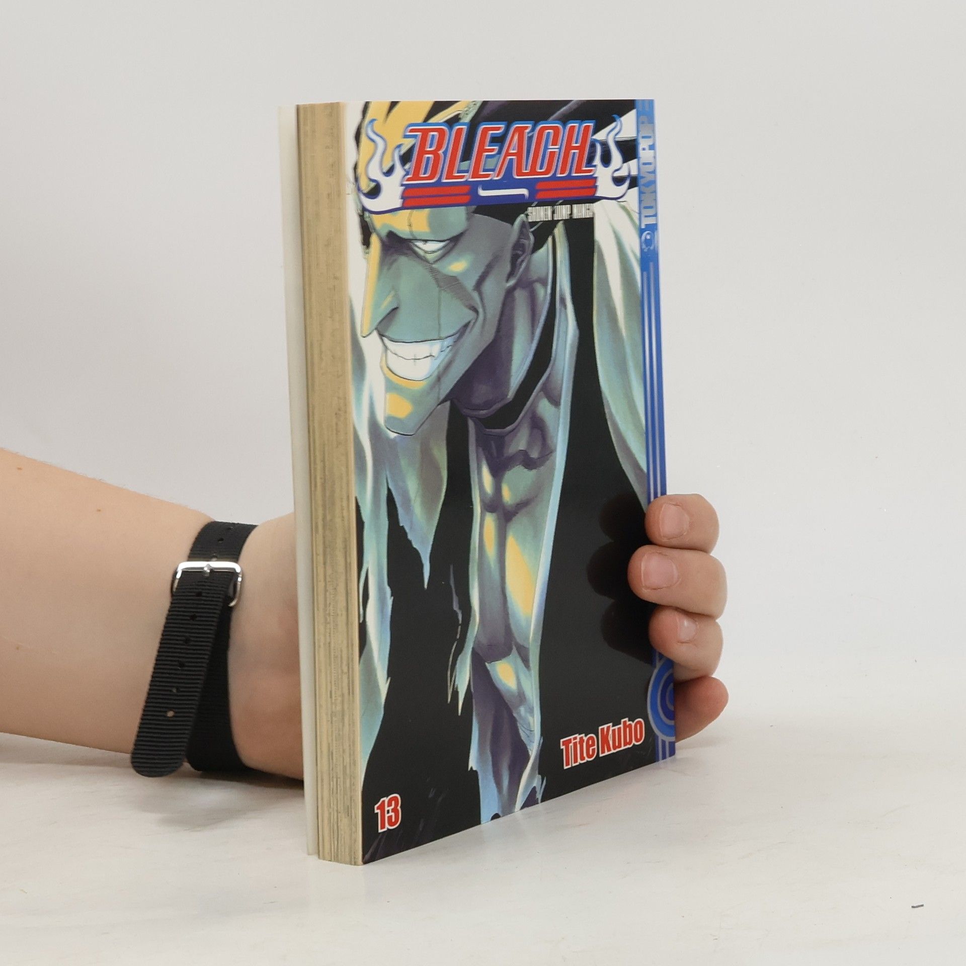 Tite Kubo Bleach 13