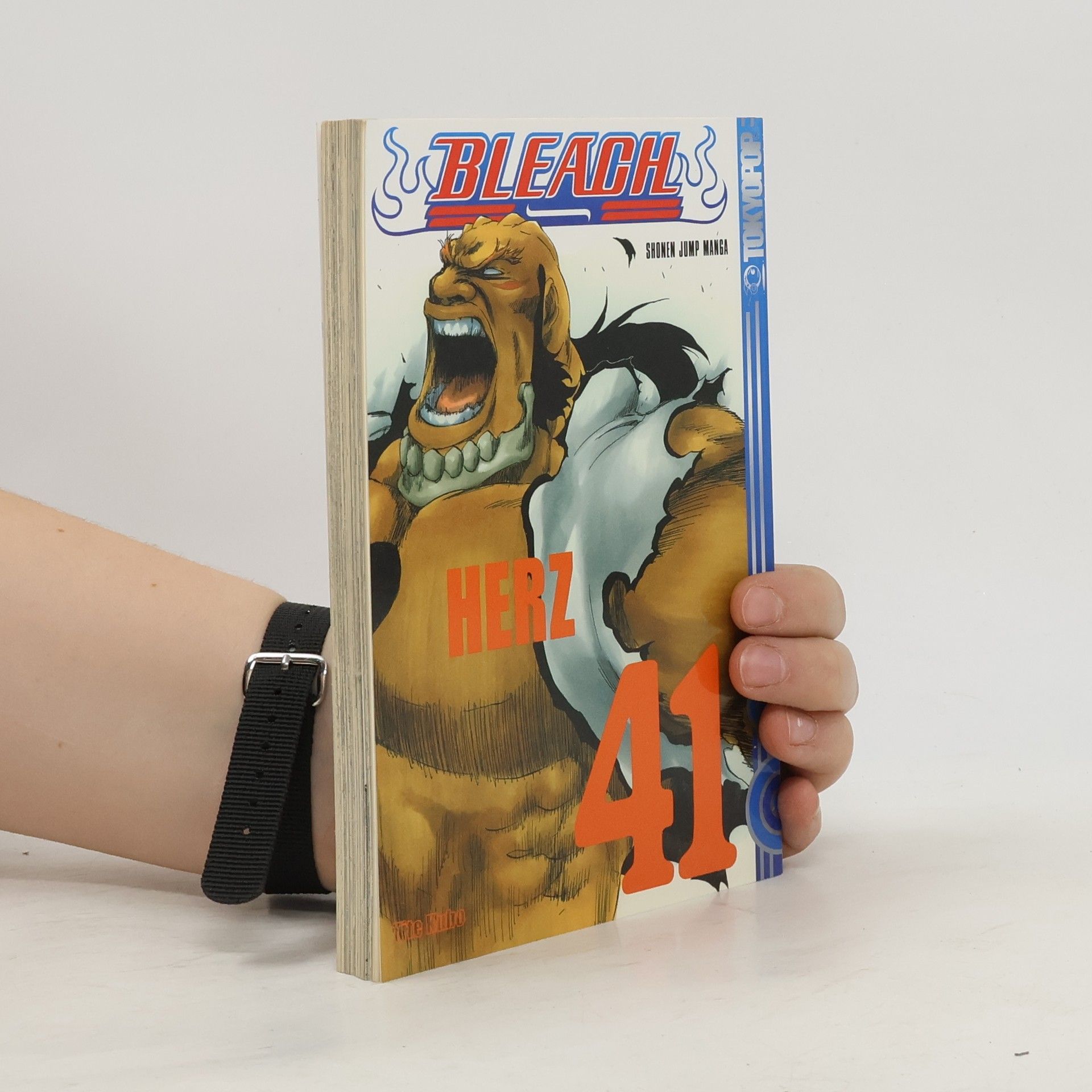 Tite Kubo Bleach - Herz