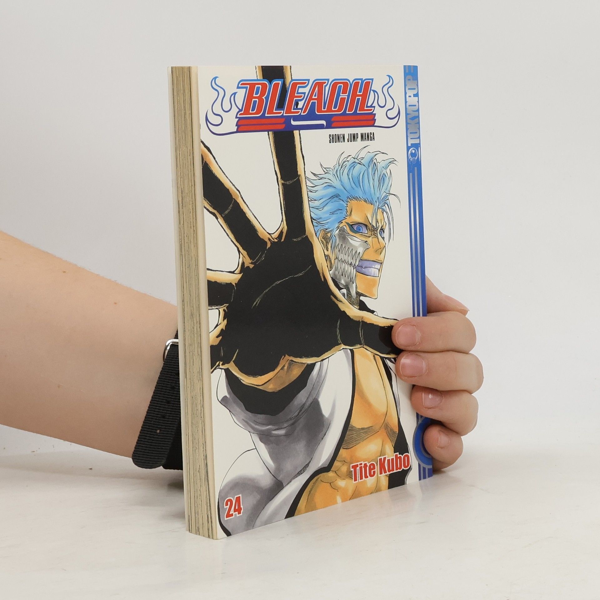 Tite Kubo Bleach 24