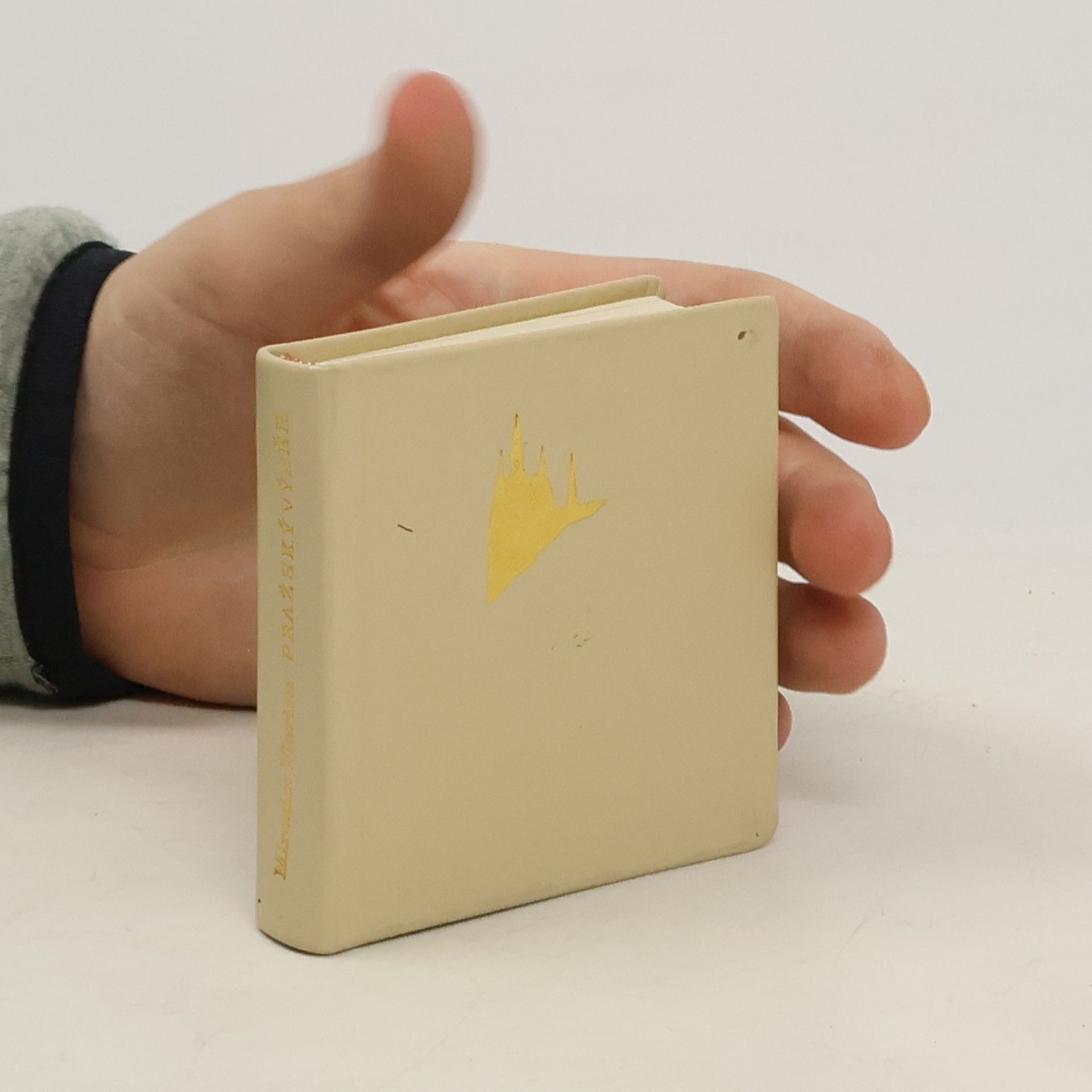 Miroslav Florian Pražský výběr