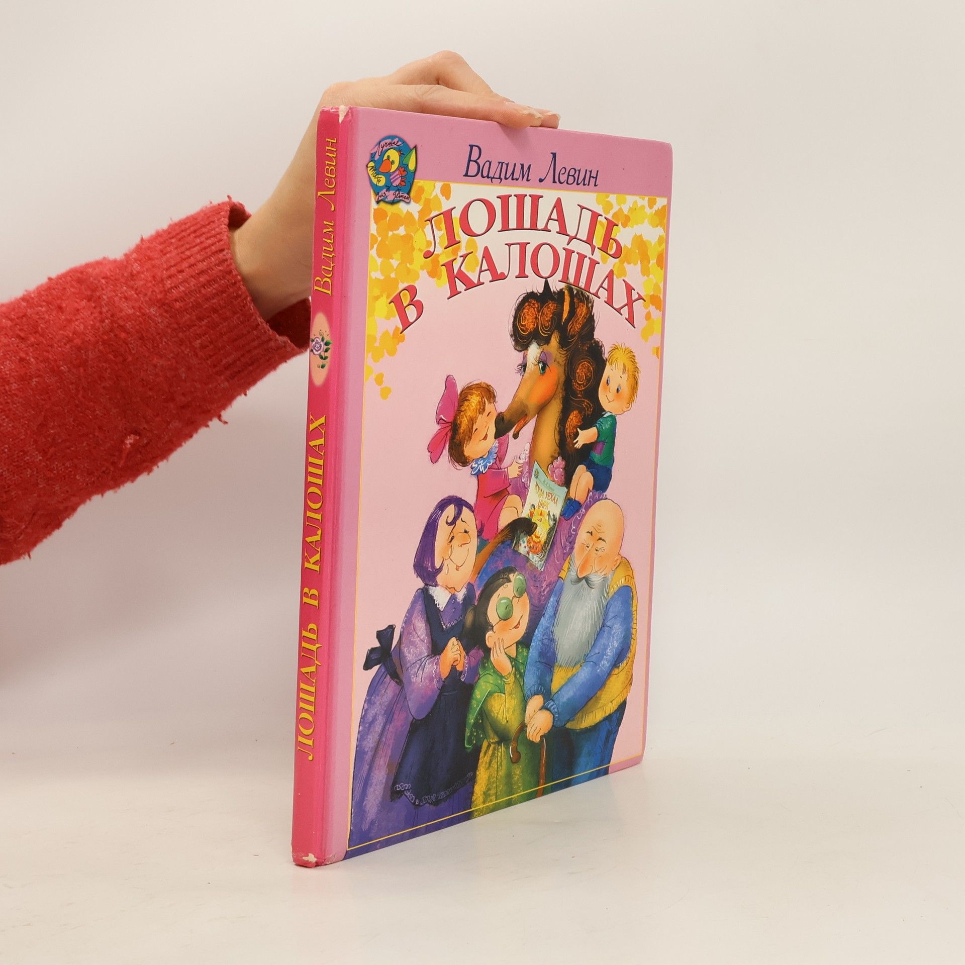 Вадим Александрович Левин Лошадь в калошах