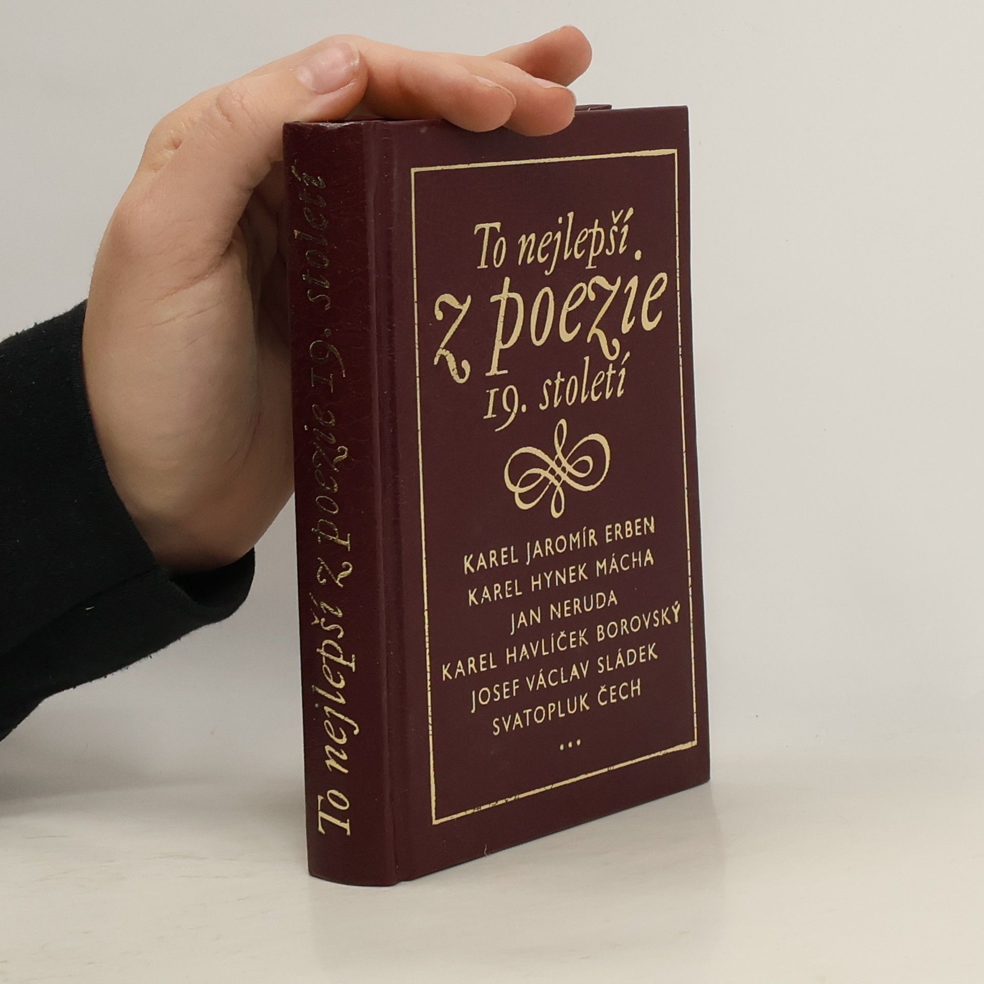 Autorenkollektiv To nejlepší z poezie 19. století