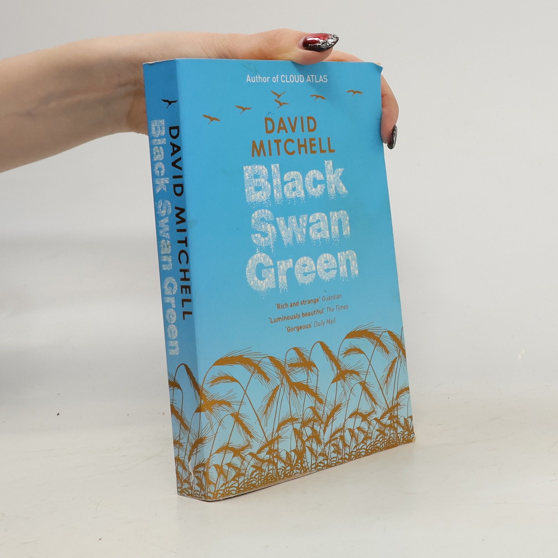 David Mitchell Black swan green