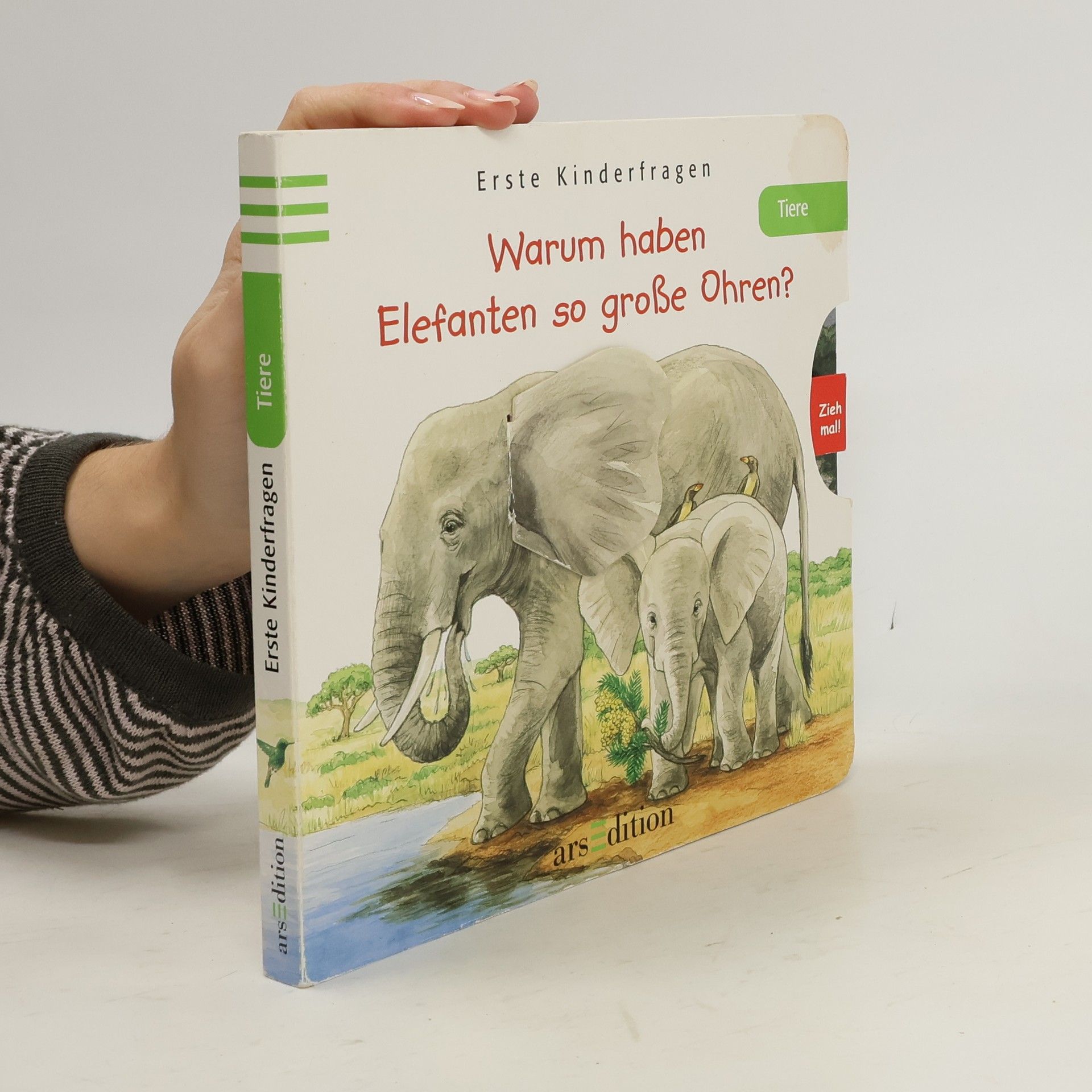Ursula Weller Warum haben Elefanten so große Ohren?