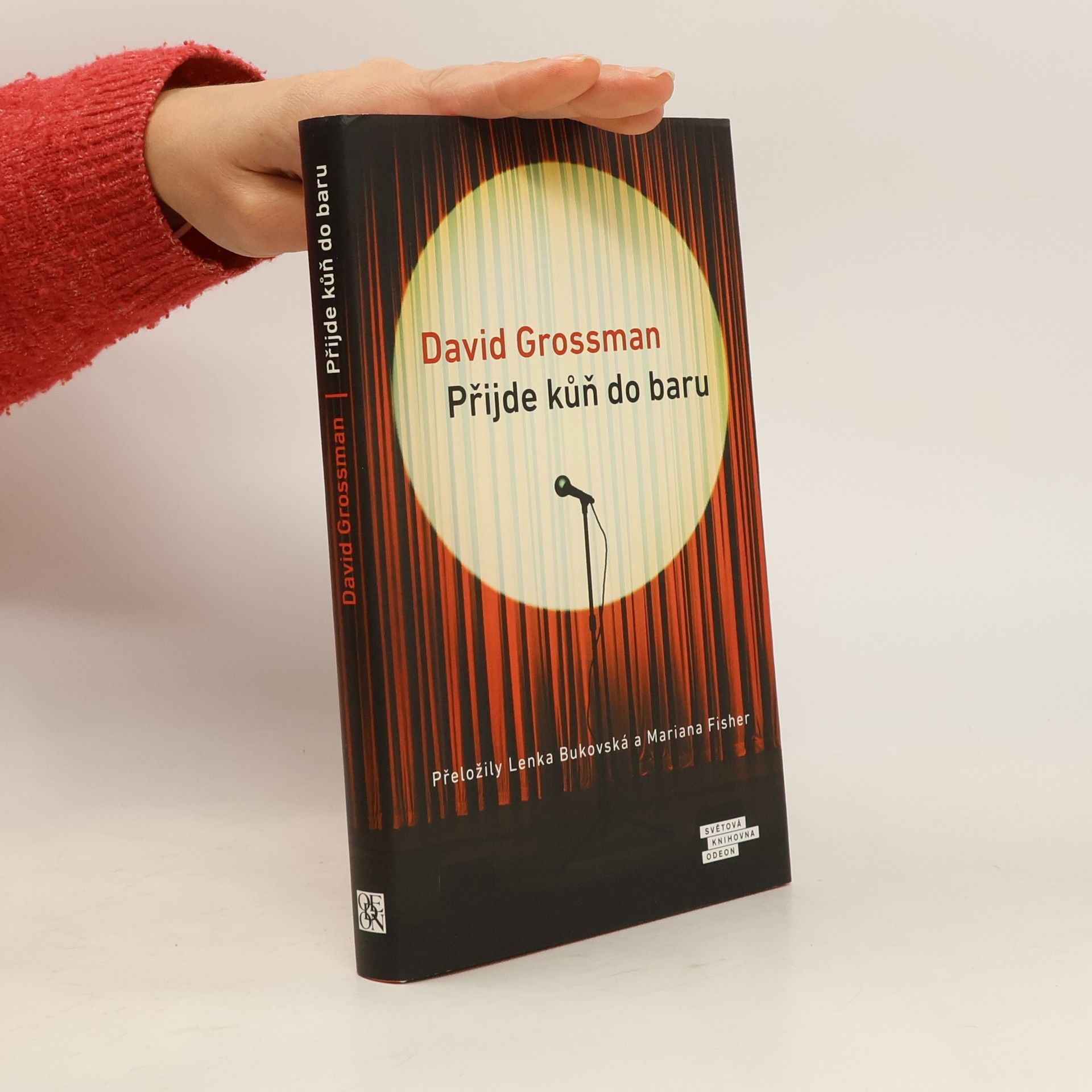 David Grossman Přijde kůň do baru