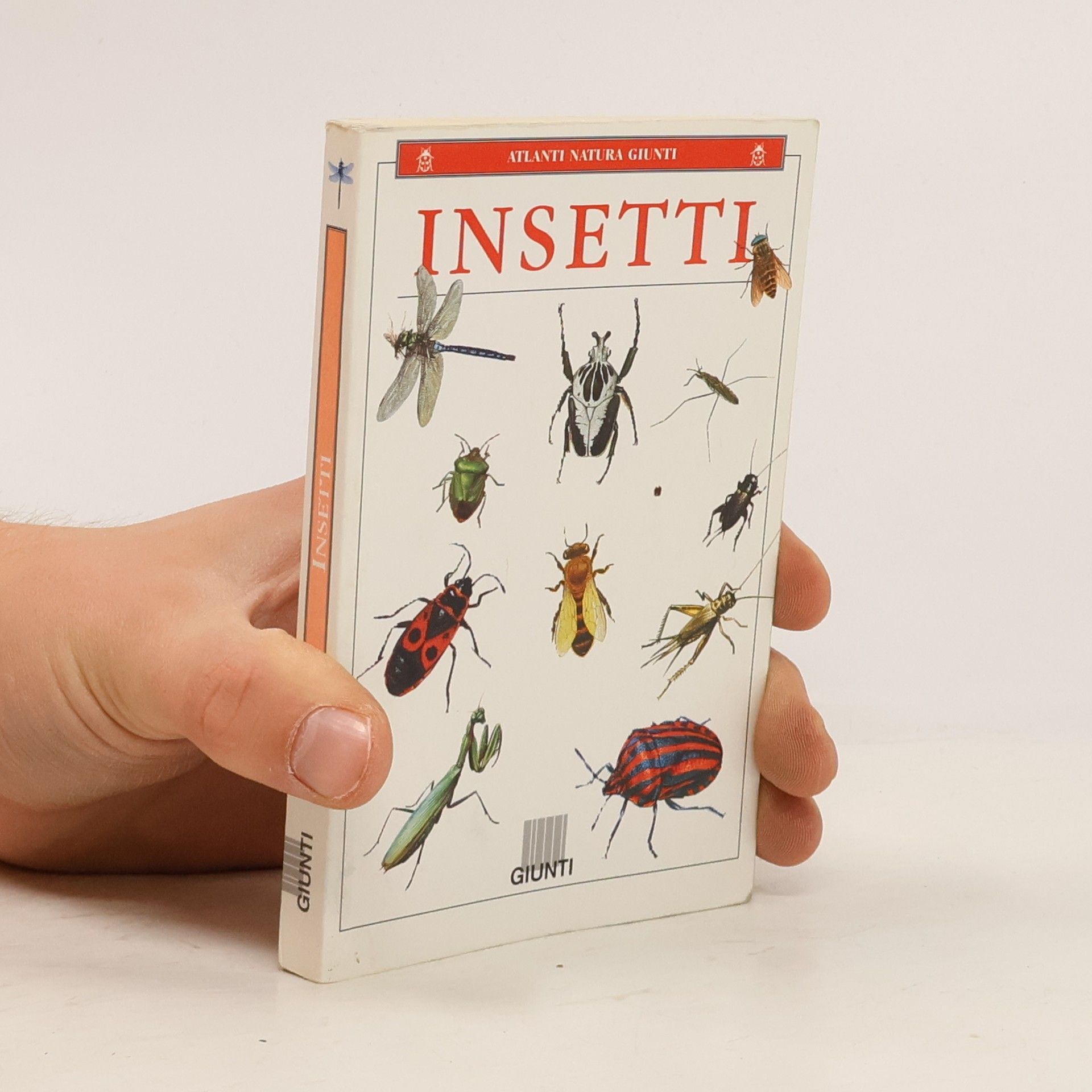 Gabriele Pozzi Insetti