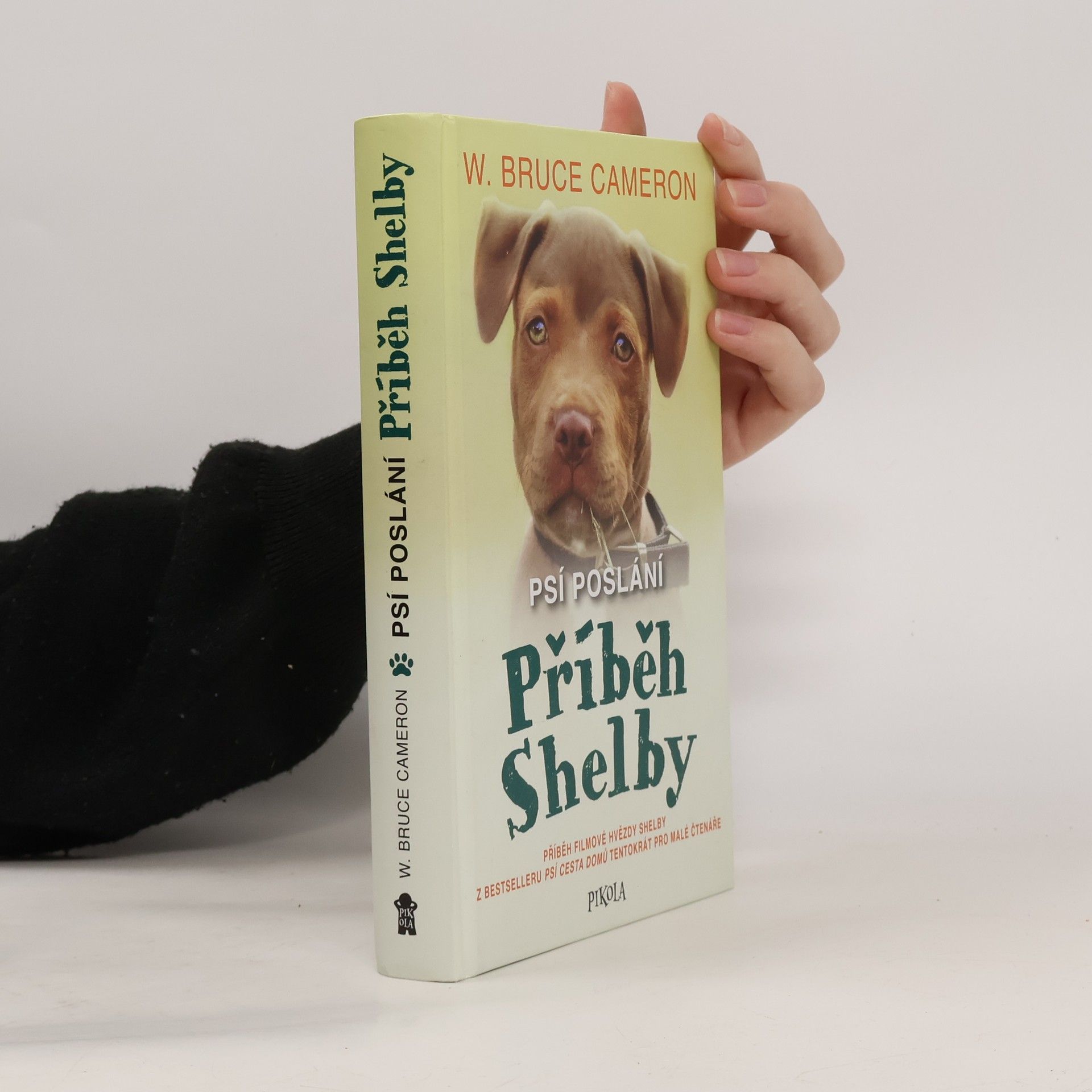 Psí poslání. Příběh Shelby