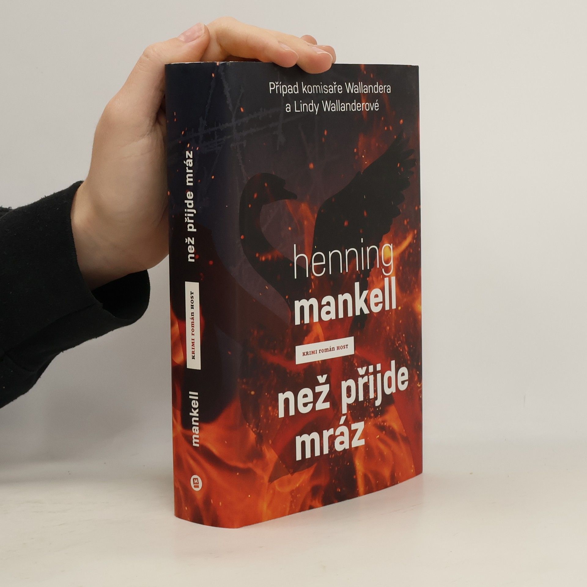 Henning Mankell Než přijde mráz