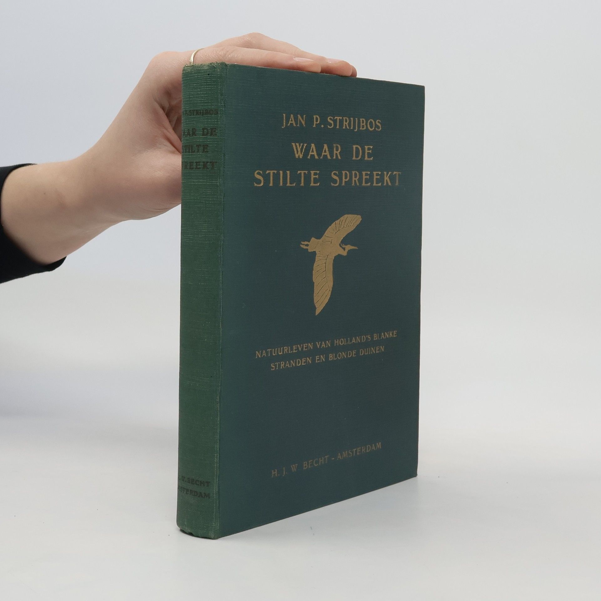 Jan P. Strijbos Waar de stilte spreekt