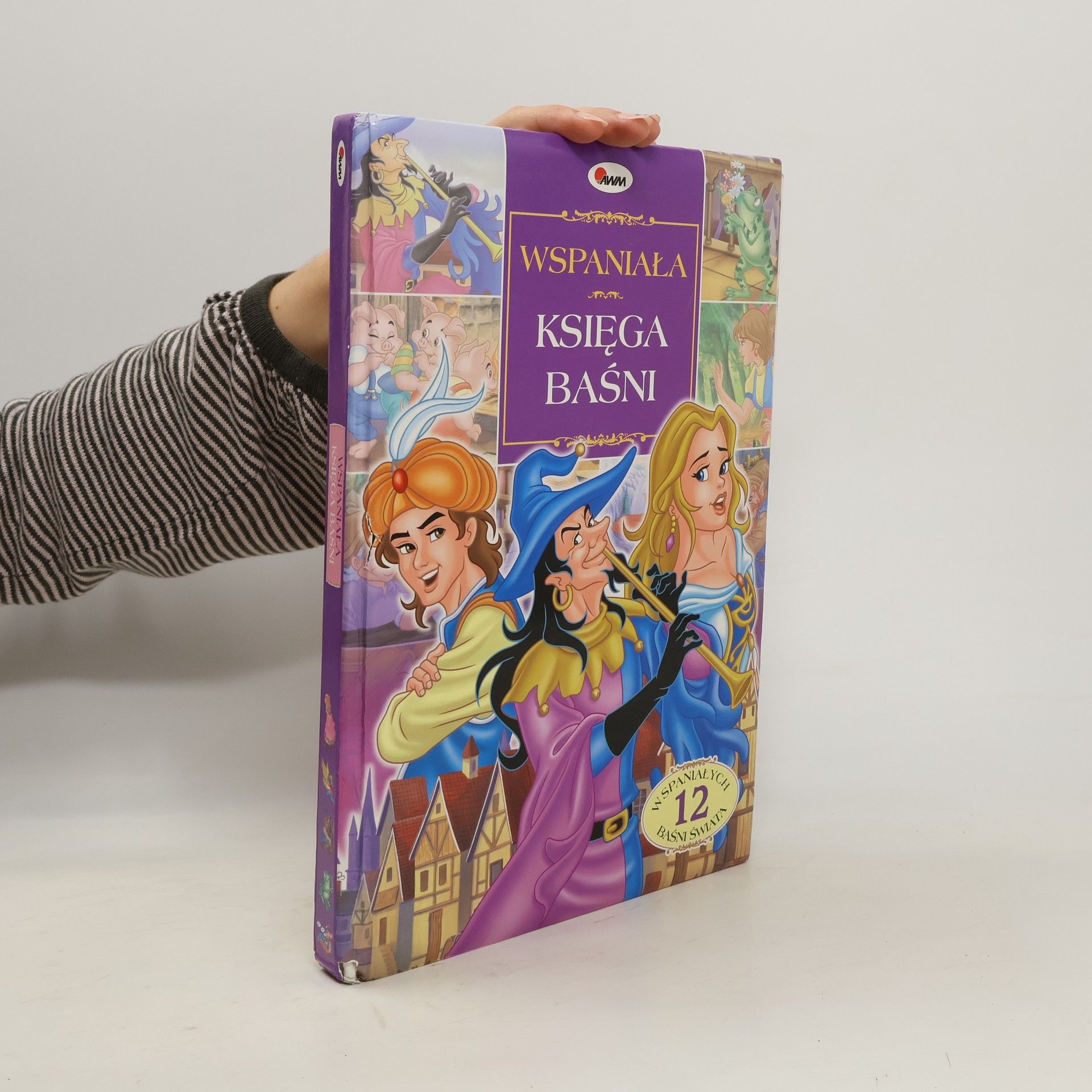 AA.VV. Wspaniała księga baśni