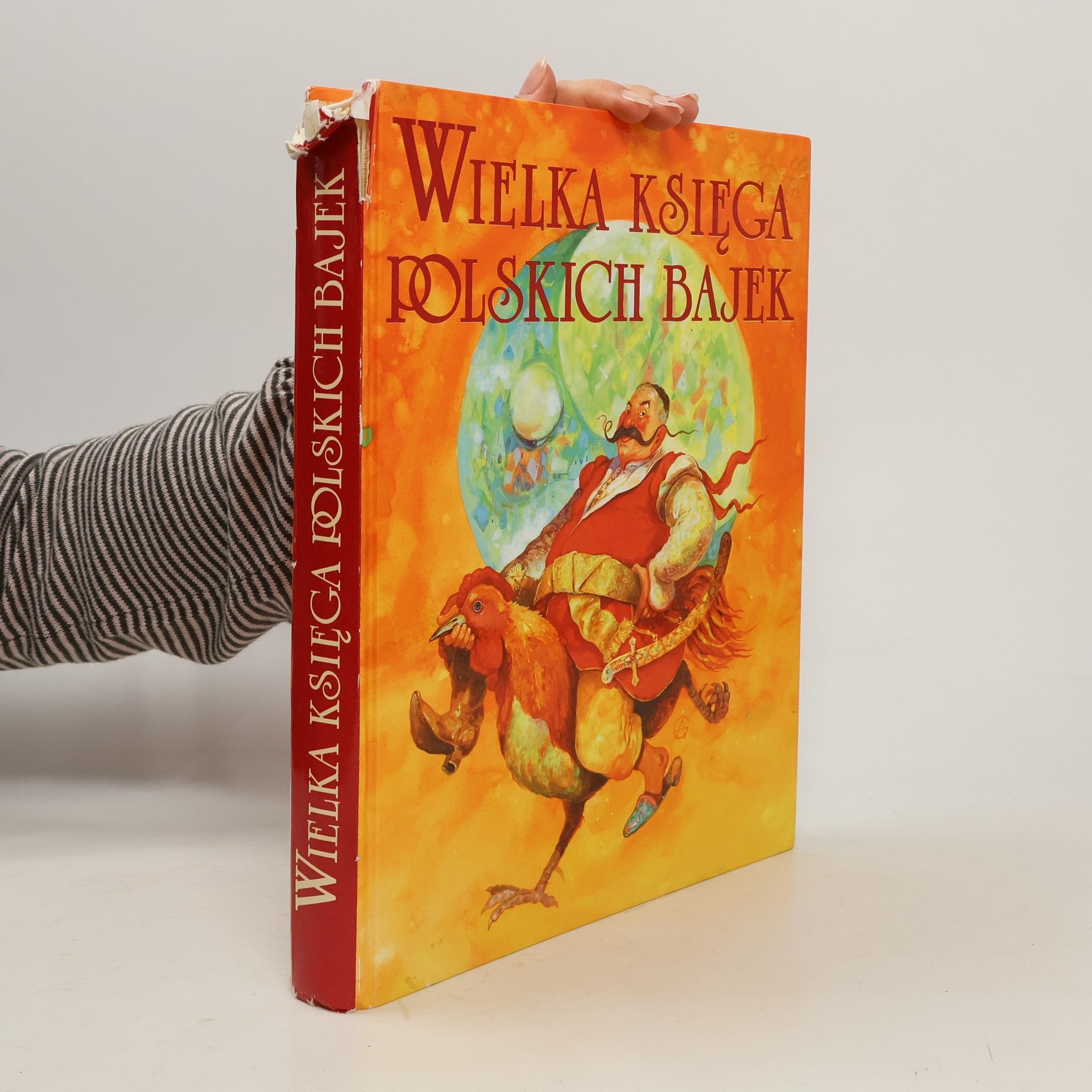 Autorenkollektiv Wielka księga polskich bajek