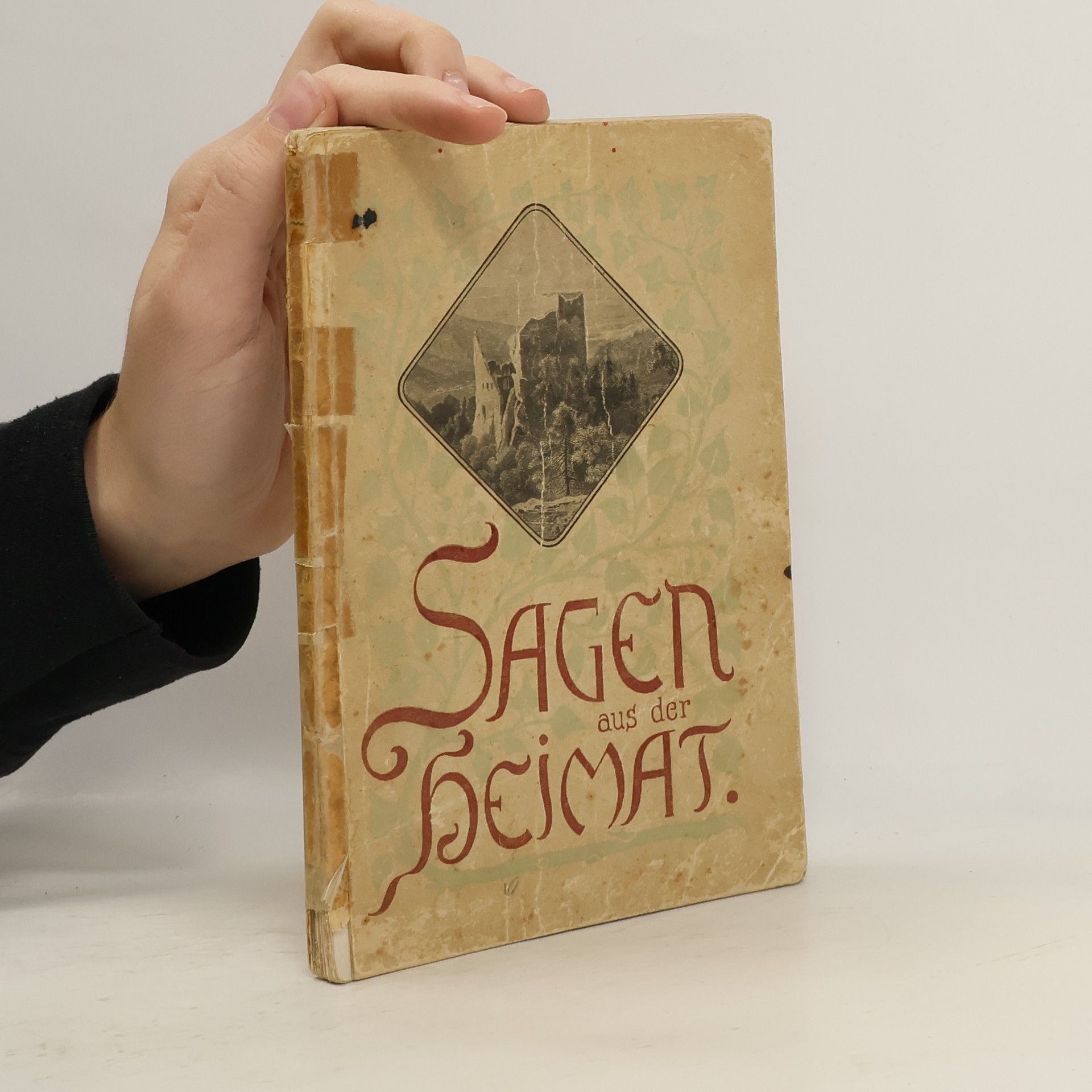 Friedrich Karl Schneider Sagen aus der Heimat