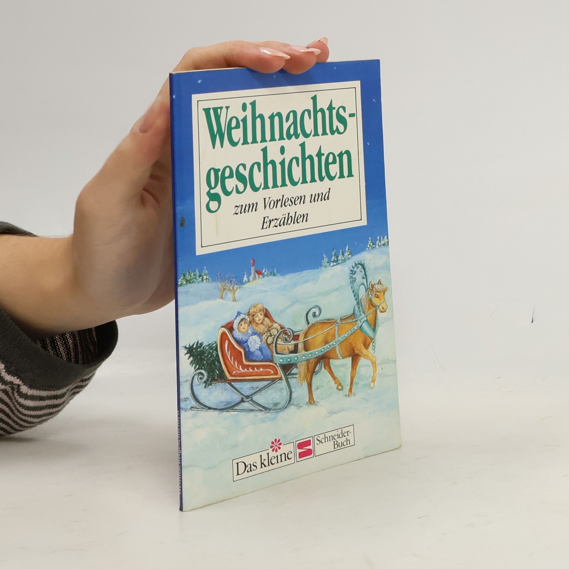 Autorenkollektiv Weihnachtsgeschichten zum Vorlesen und Erzählen