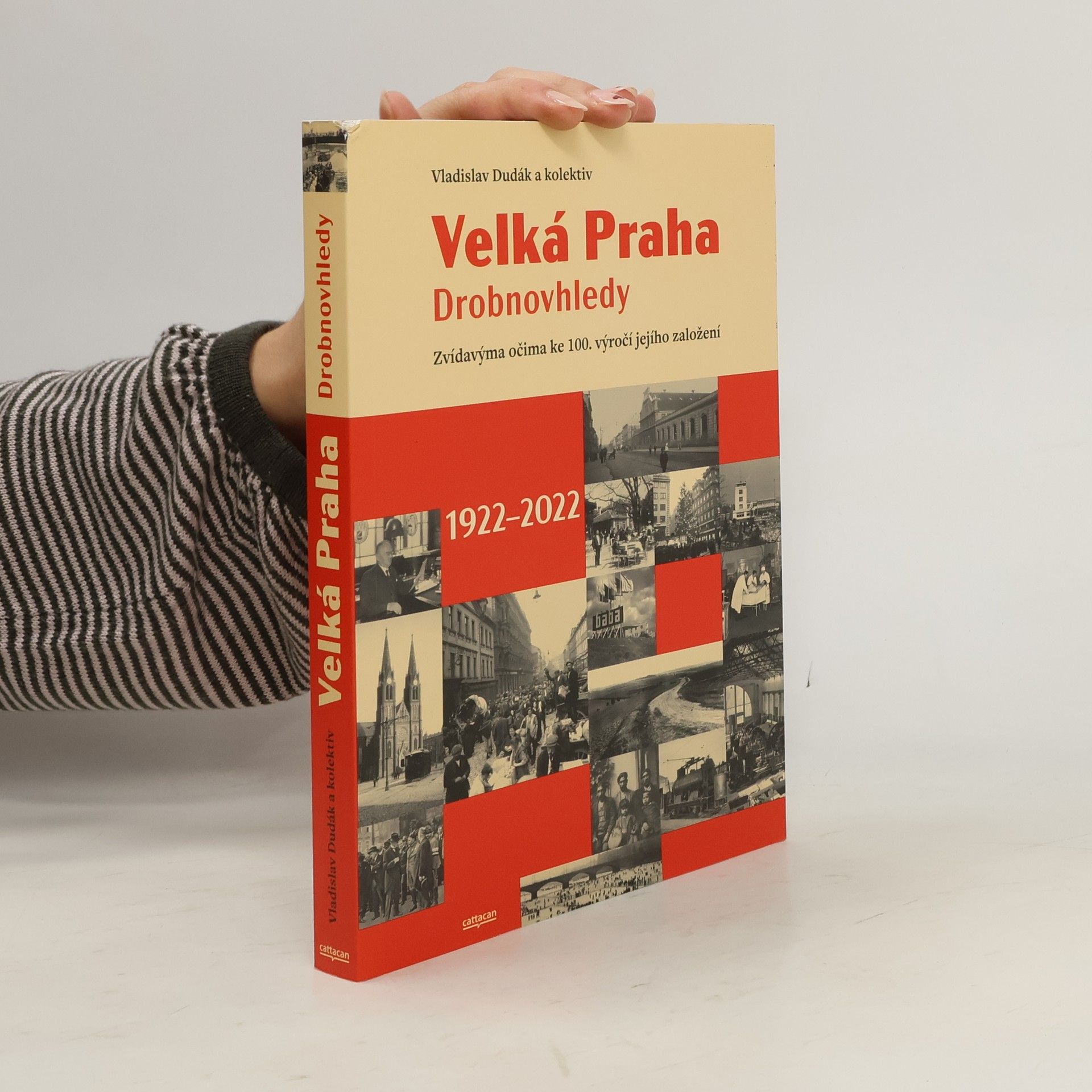 Kolektiv autorů Velká Praha: drobnovhledy