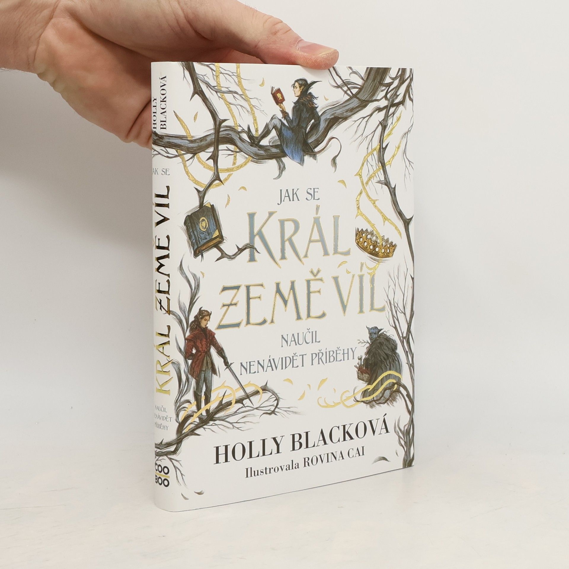 Holly Black Jak se král Země víl naučil nenávidět příběhy