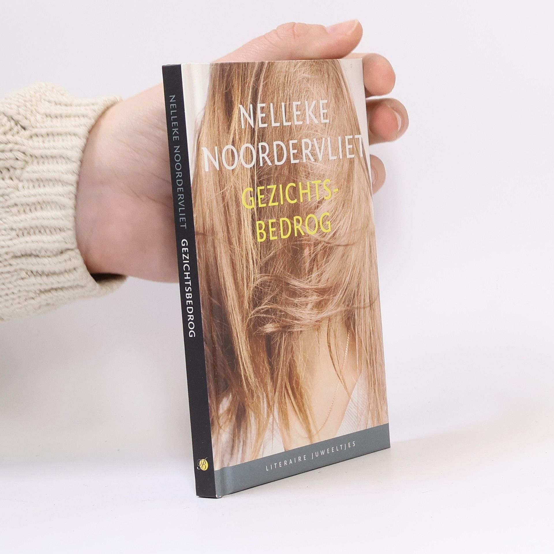 Petronella Maria Noordervliet Gezichtsbedrog