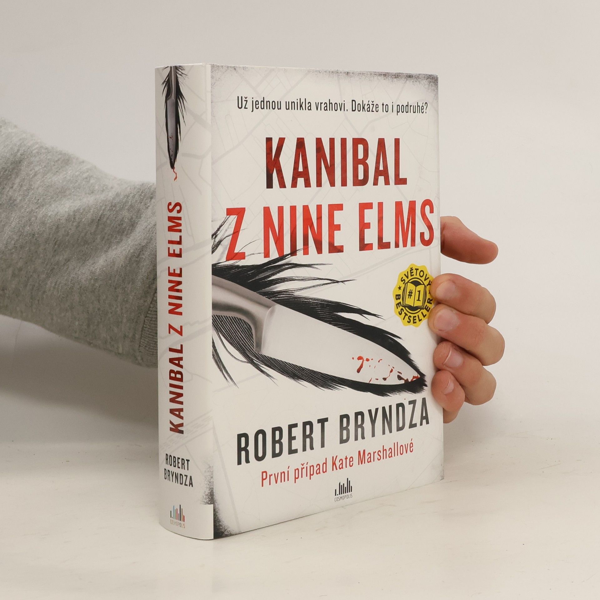 Robert Bryndza Kanibal z Nine Elms