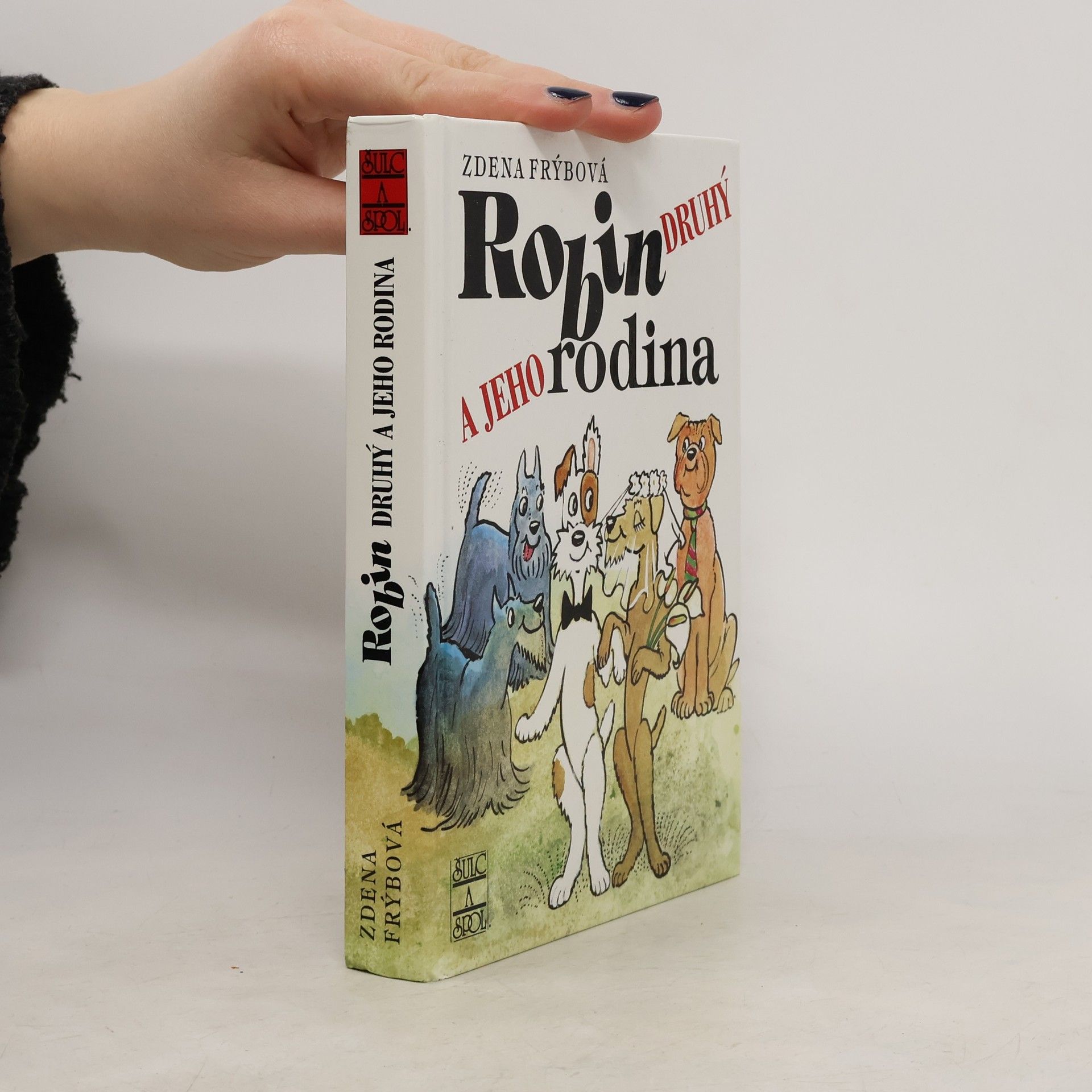 Robin Druhý a jeho rodina