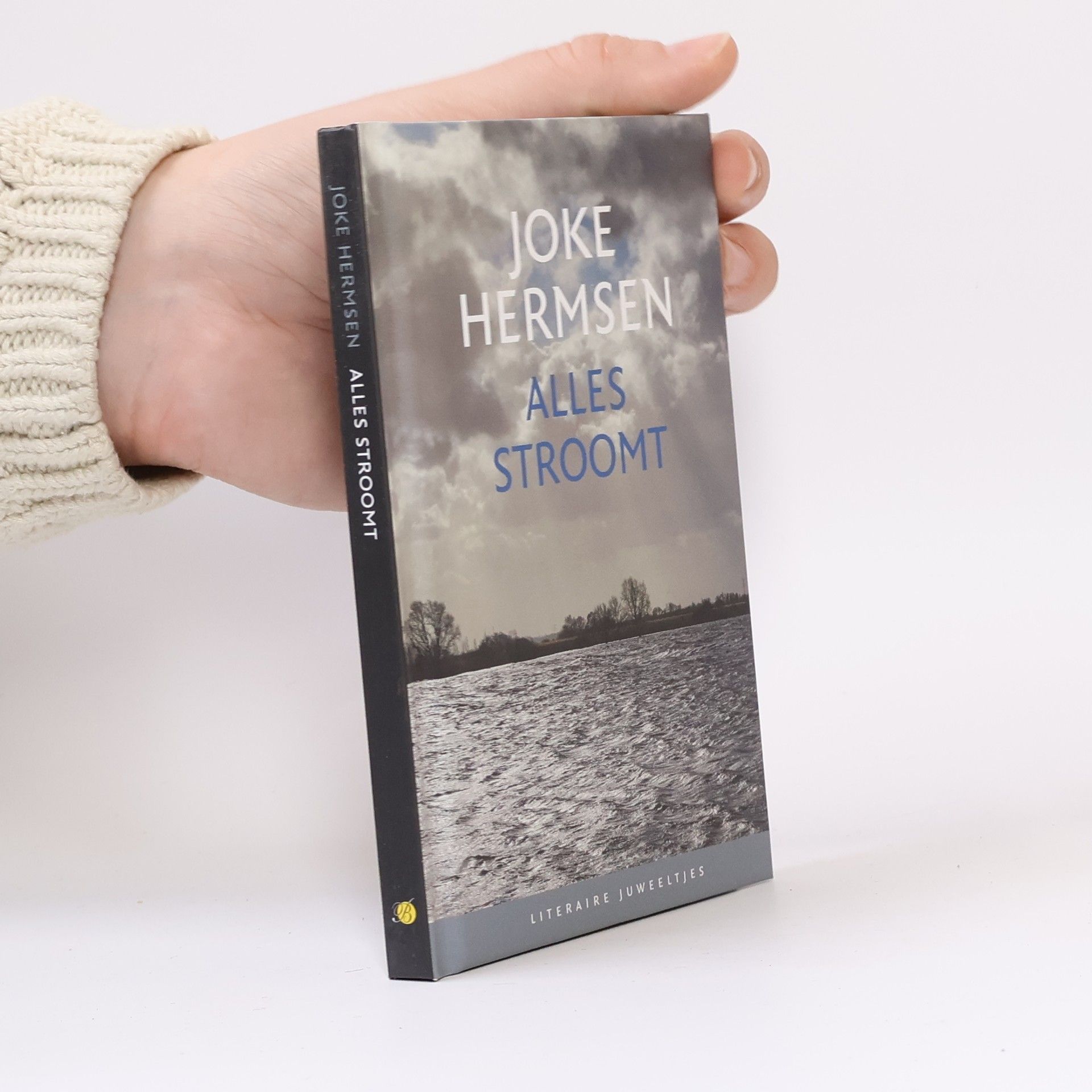 Joke Johannetta Hermsen Alles stroomt