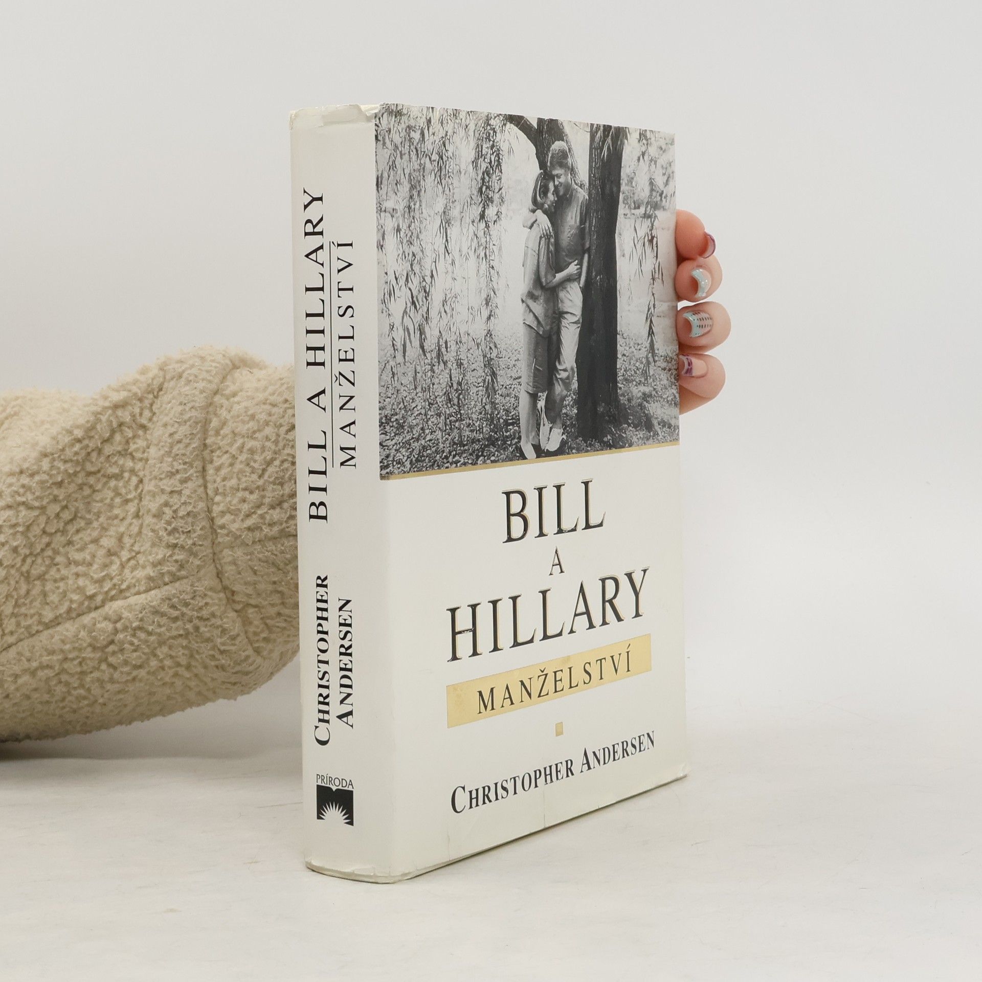 Christopher Andersen Bill a Hillary: manželství