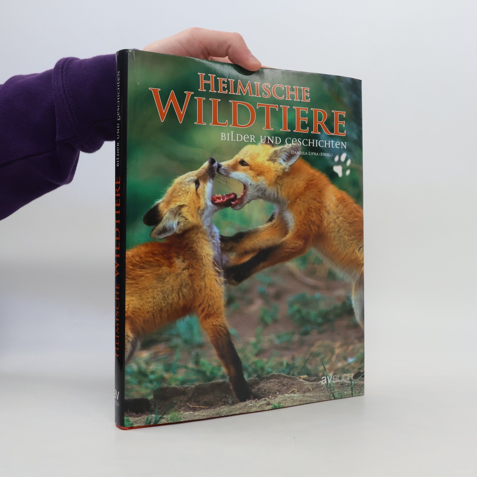 Daniela Lipka Heimische Wildtiere