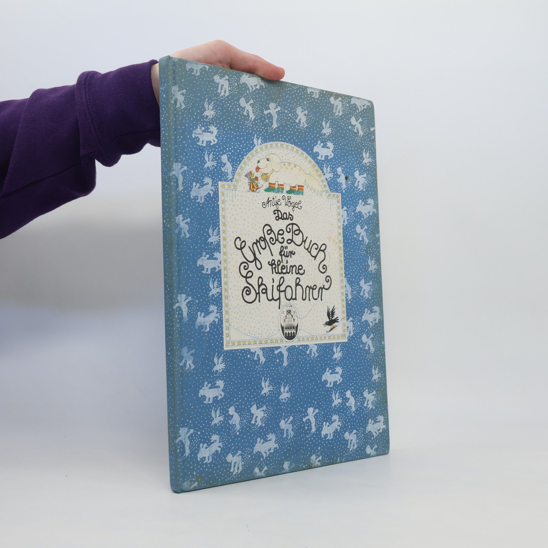 Antje Vogel Das große Buch für kleine Skifahrer