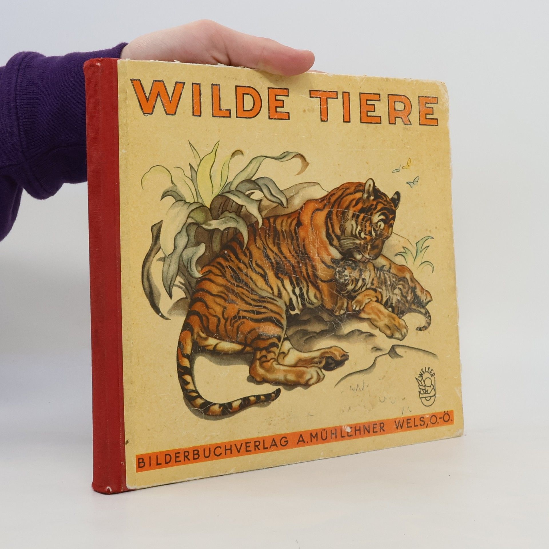 Autorenkollektiv Wilde Tiere