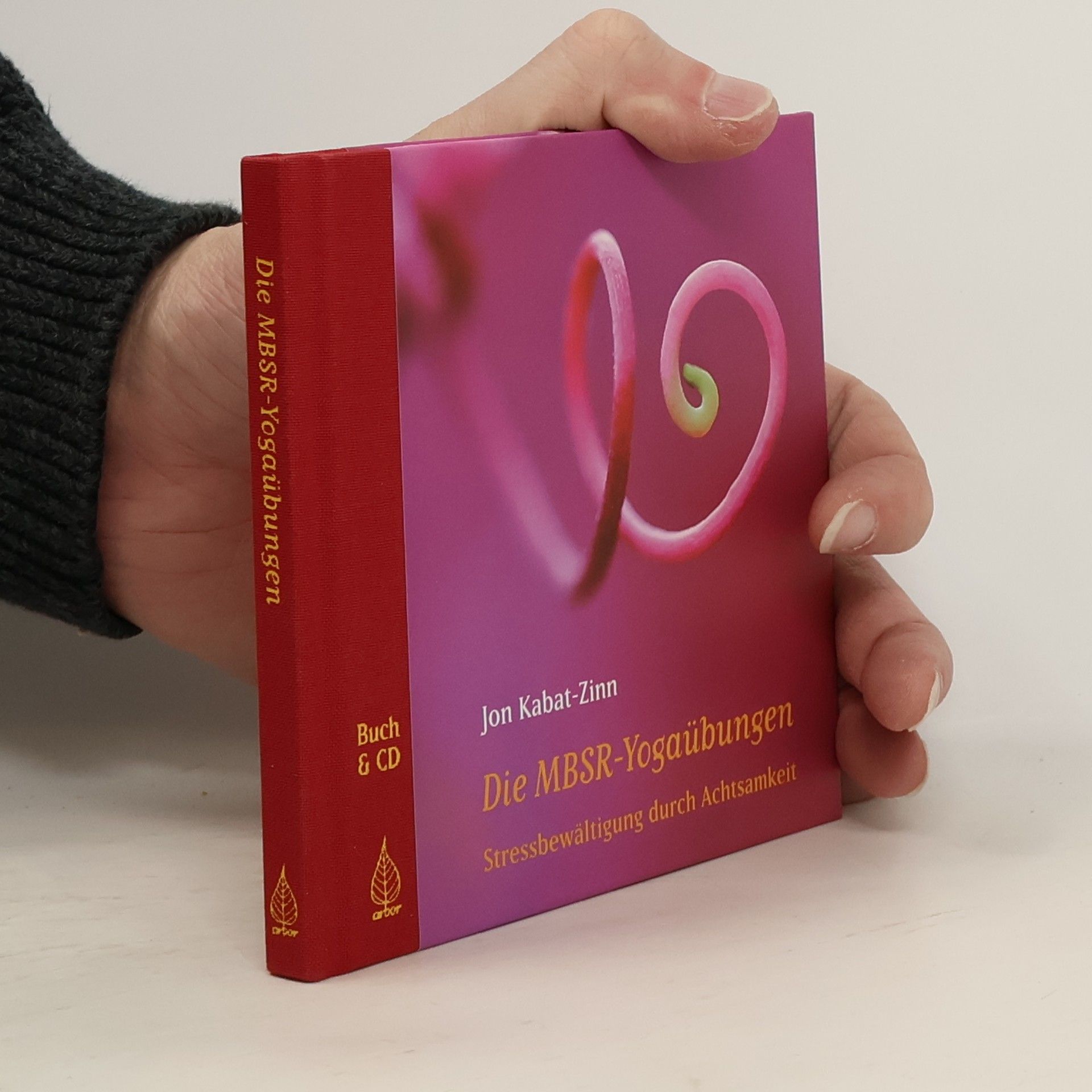 Jon Kabat-Zinn Die MBSR-Yogaübungen