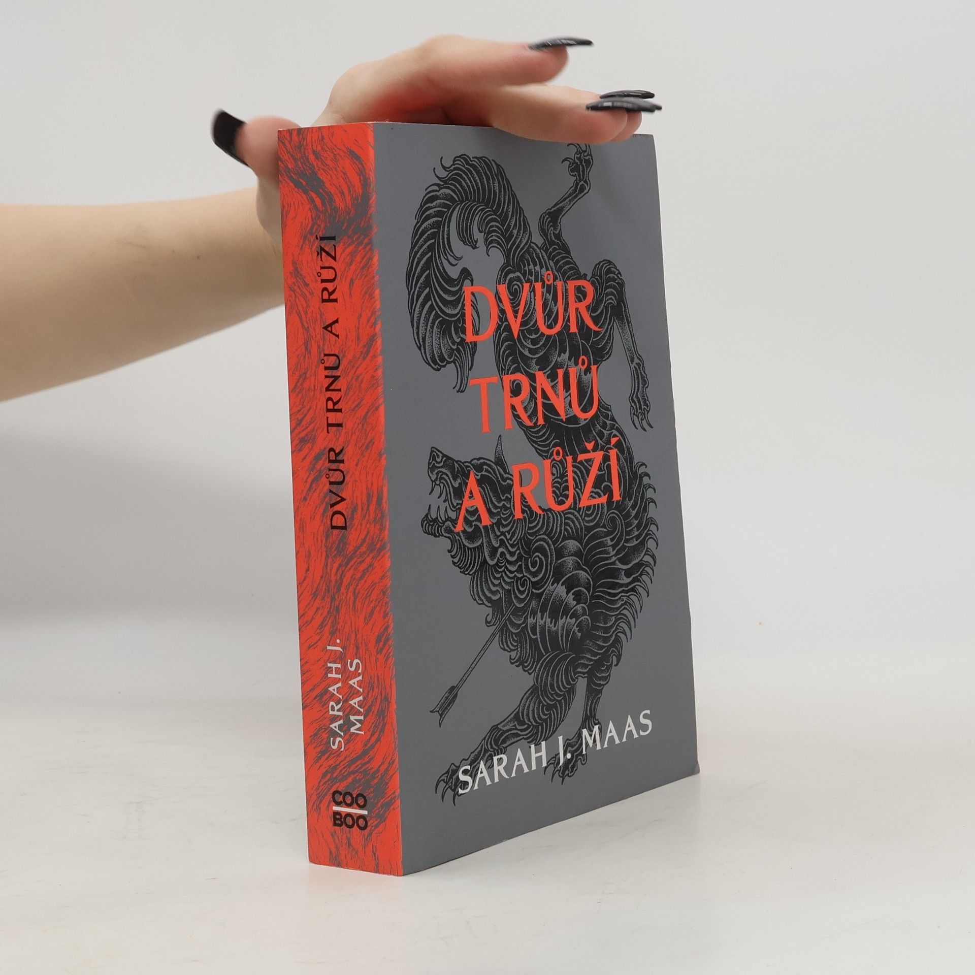 Sarah J. Maas Dvůr trnů a růží
