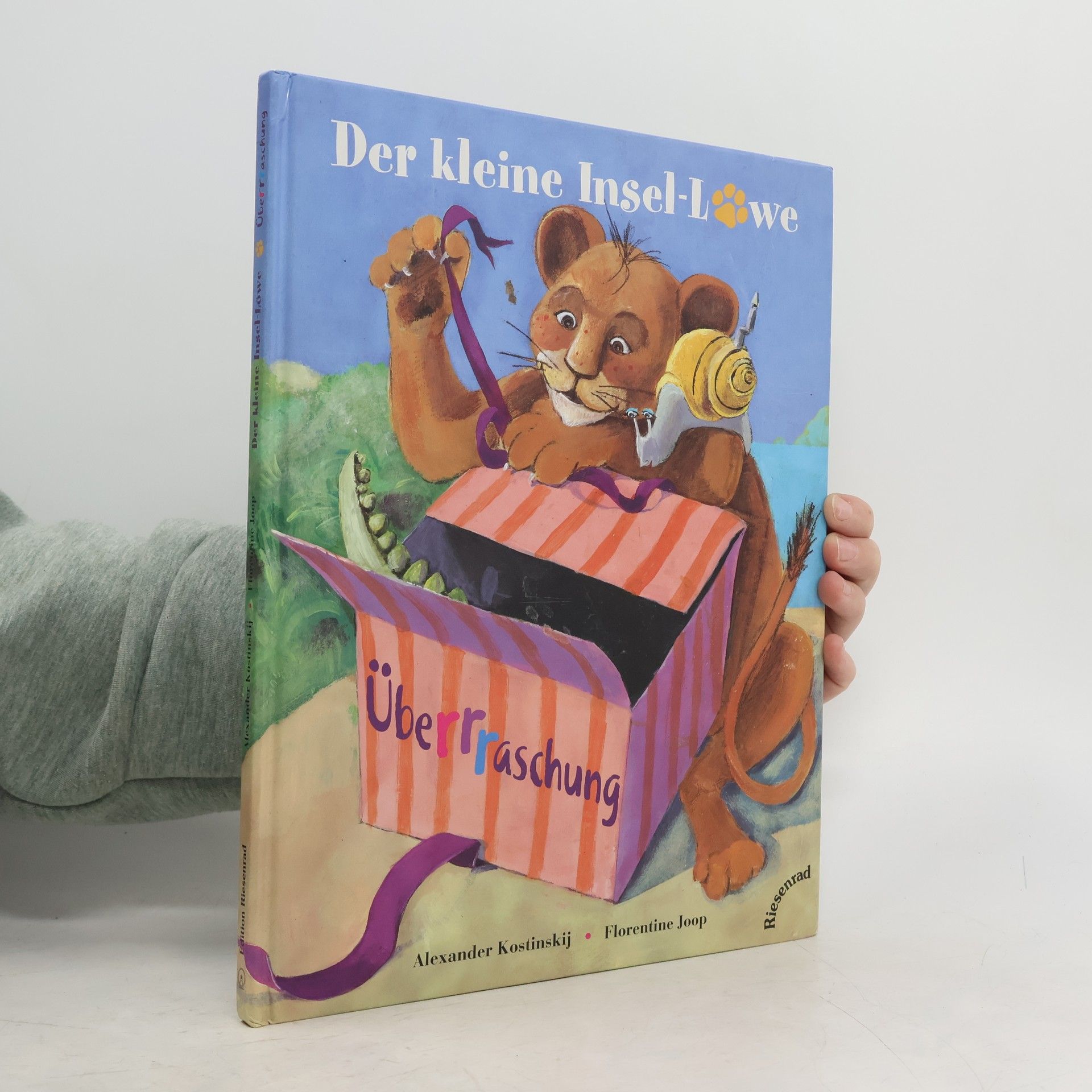 Der kleine Insel-Löwe