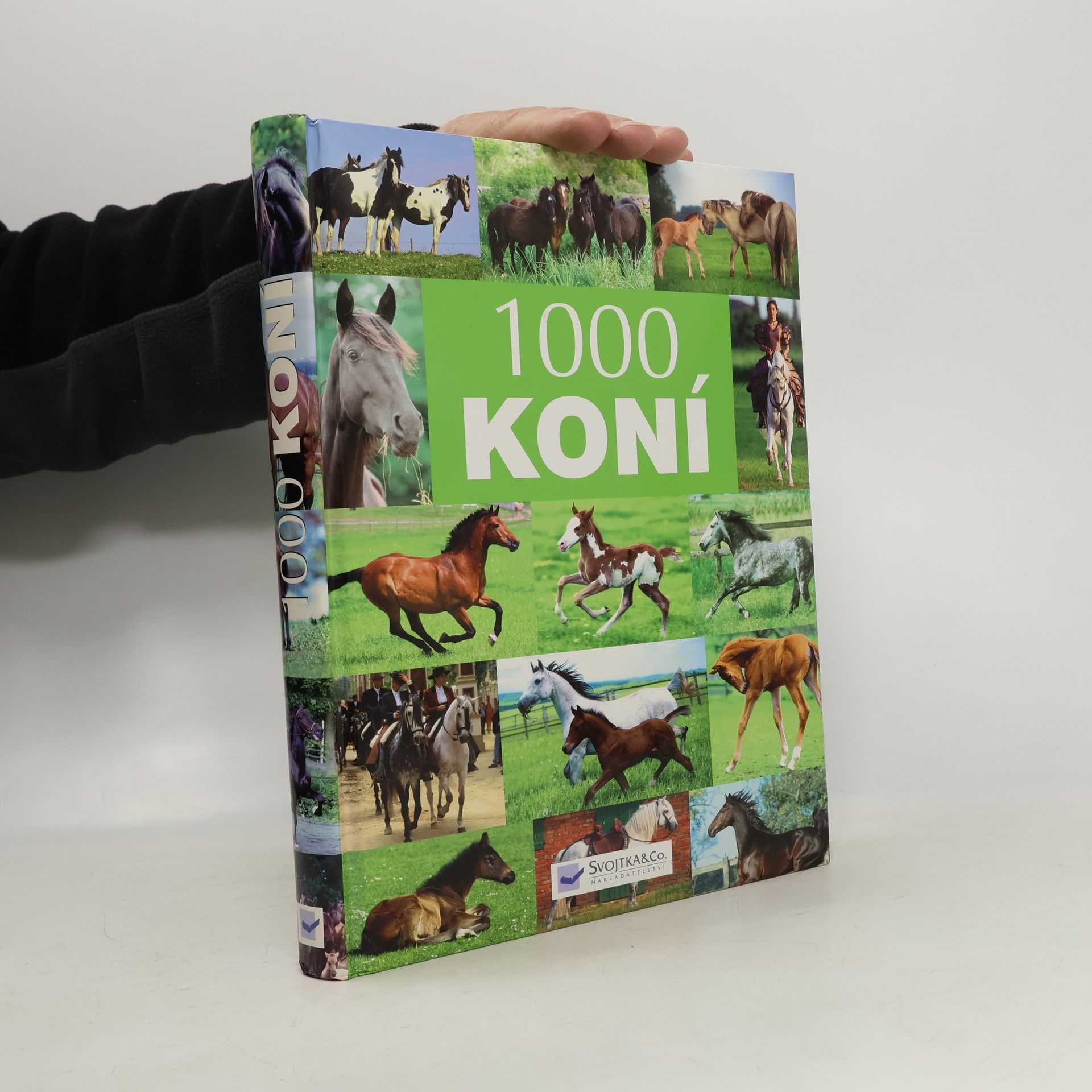 Autorenkollektiv 1000 koní