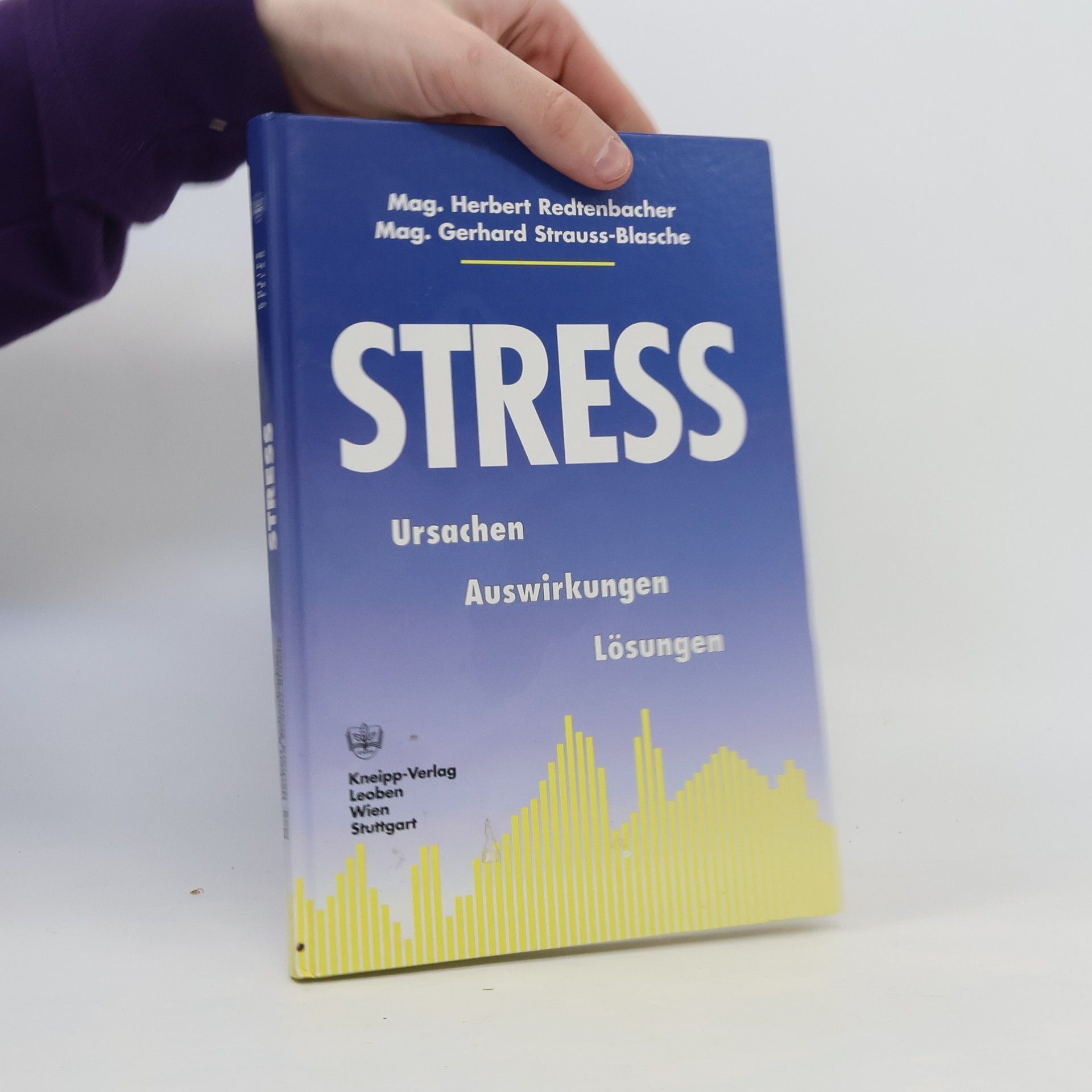 Kolektiv autorů Stress. Ursachen. Auswirkungen. Lösungen