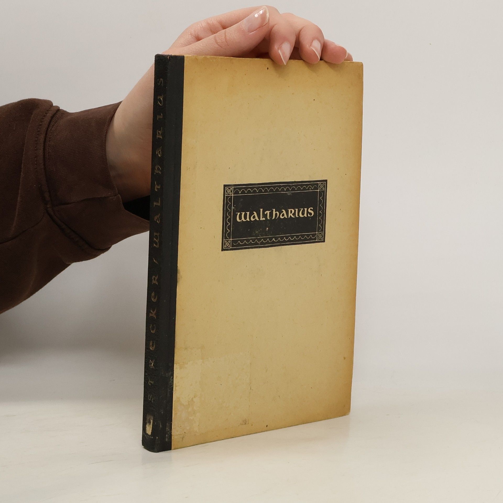 Autorenkollektiv Waltharius