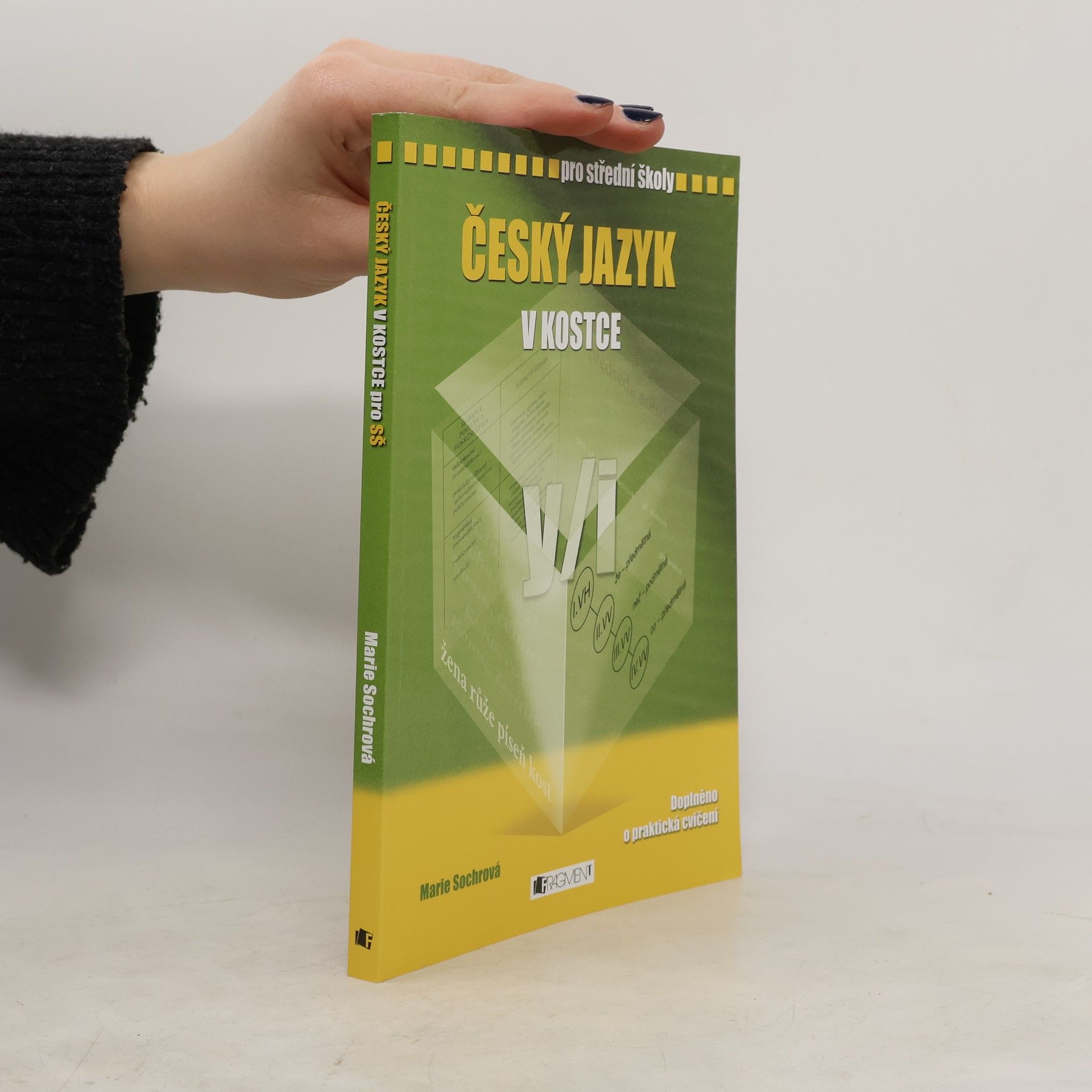 Marie Sochrová Český jazyk v kostce : pro střední školy