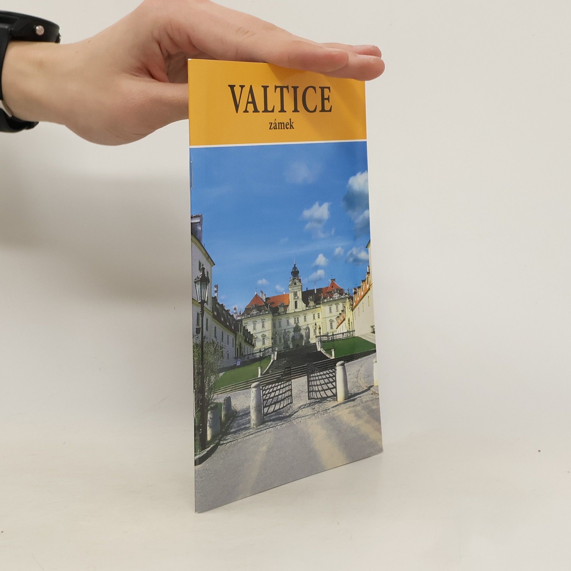 Kolektiv autorů Valtice zámek