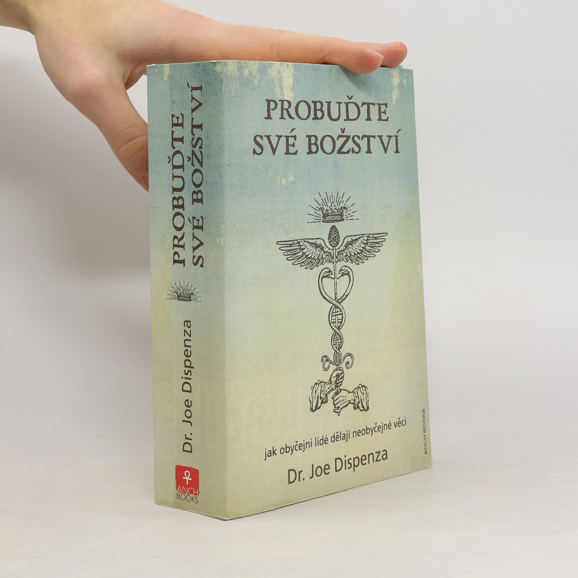 Probuďte své božství : jak obyčejní lidé dělají neobyčejné věci