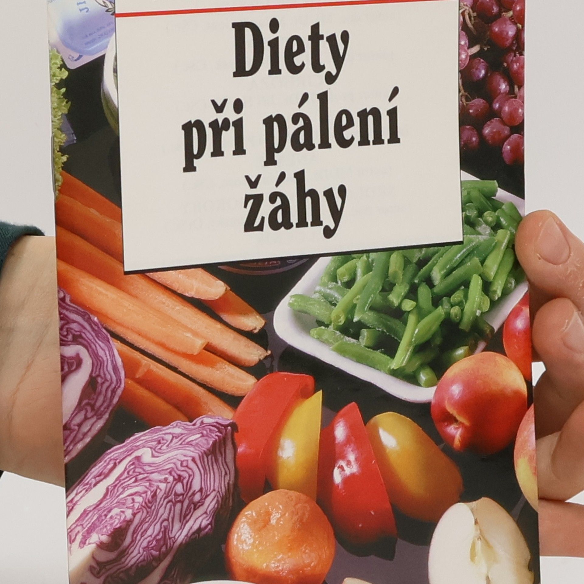 Daniela Tůmová Diety při pálení žáhy : recepty, rady lékaře