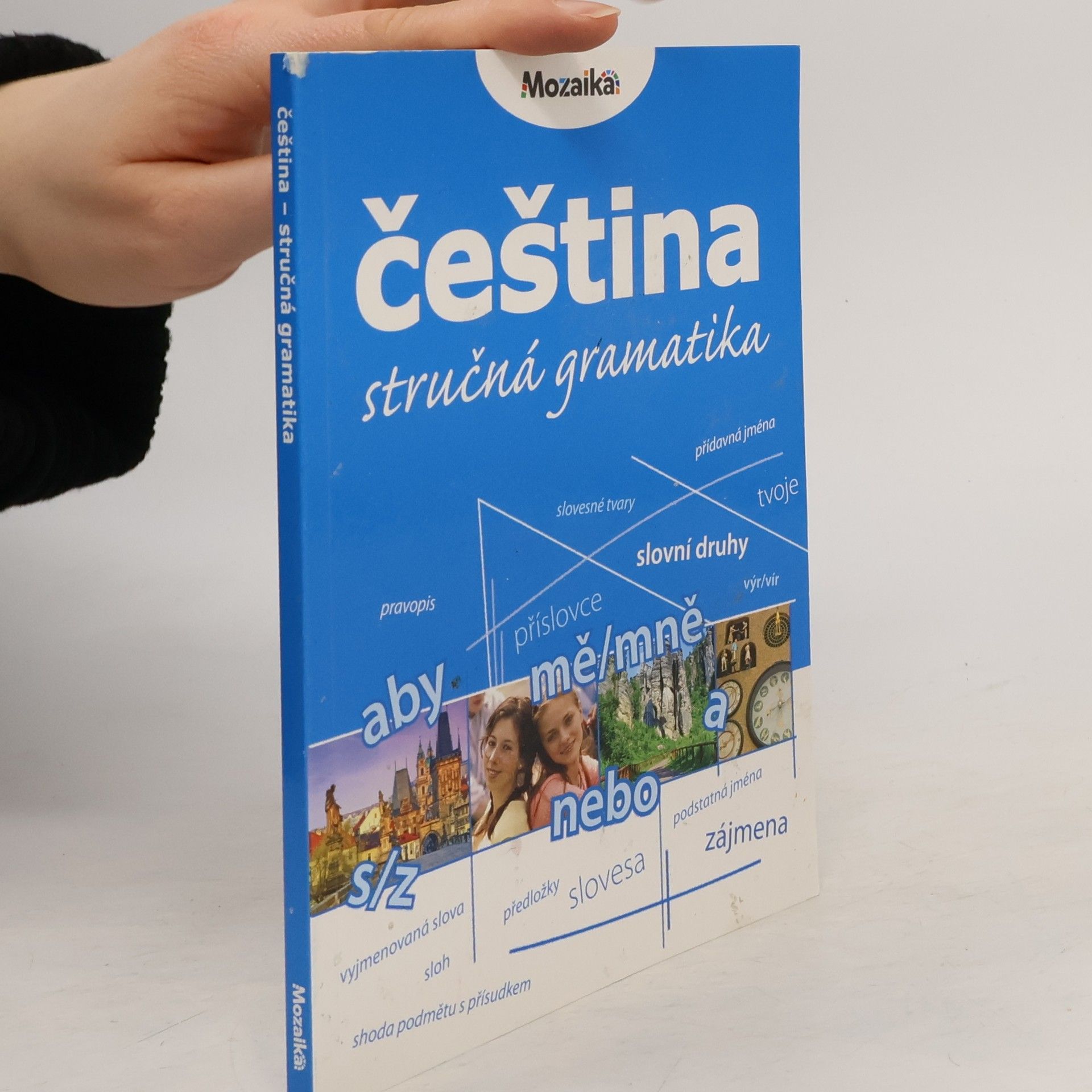 Čeština. Stručná gramatika