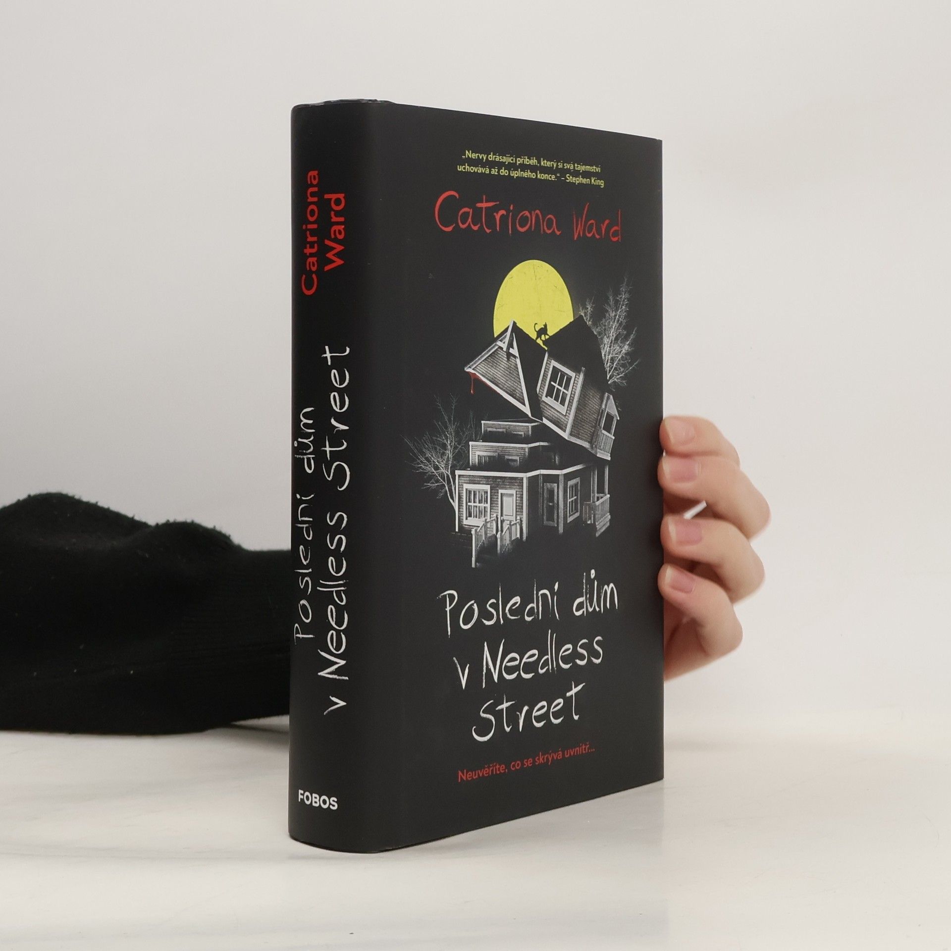 Poslední dům v Needless Street