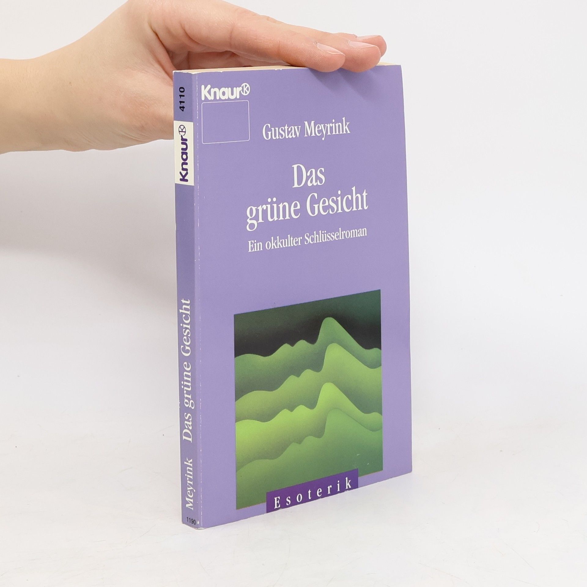 Gustav Meyrink Das grüne Gesicht : ein okkulter Schlüsselroman