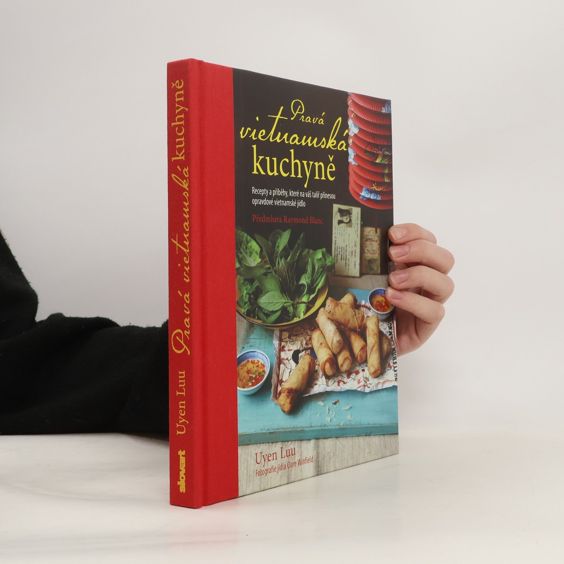 Pravá vietnamská kuchyně. Recepty a příběhy, které na váš talíř přinesou opravdové vietnamské jídlo