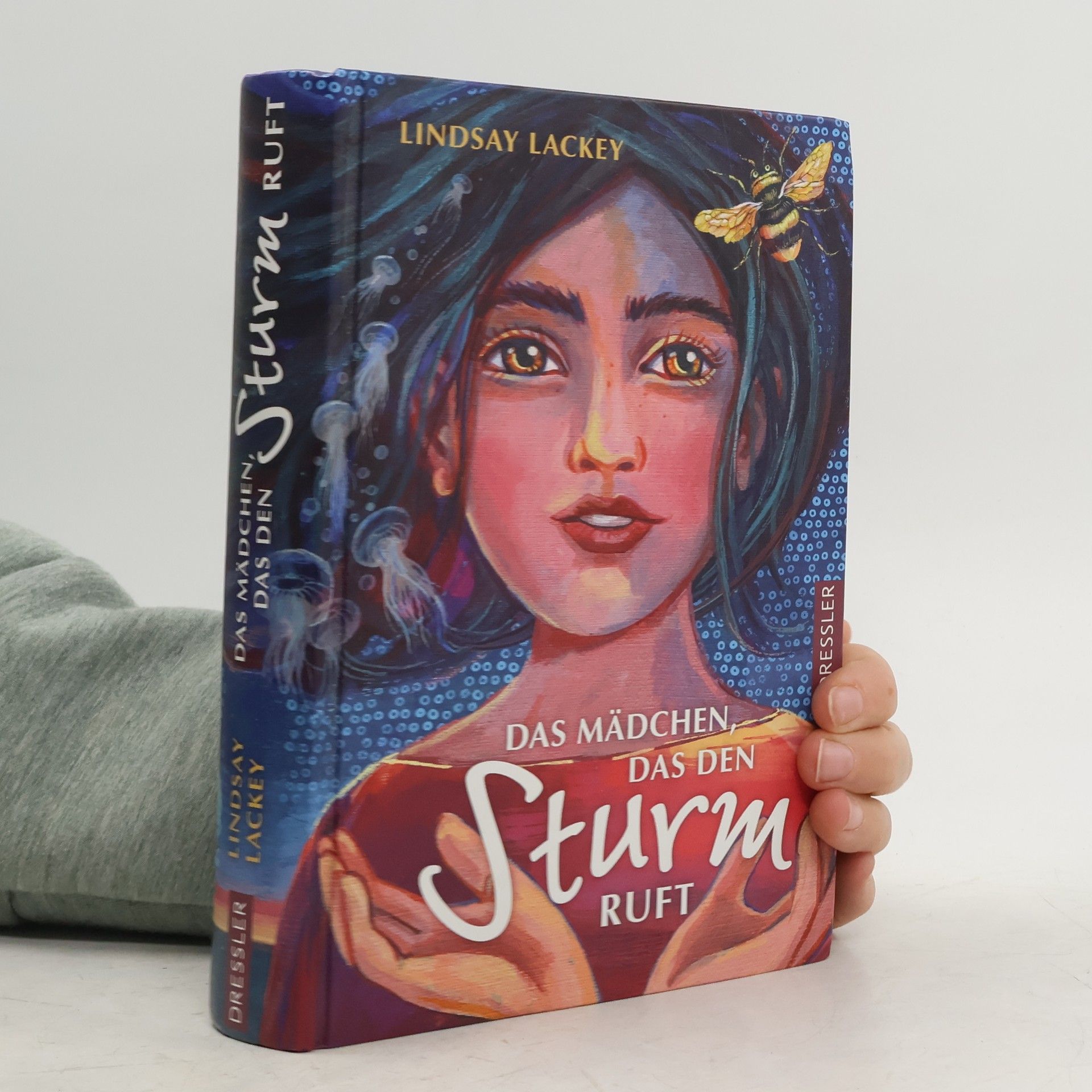 Lindsay Lackey Das Mädchen das den Sturm ruft