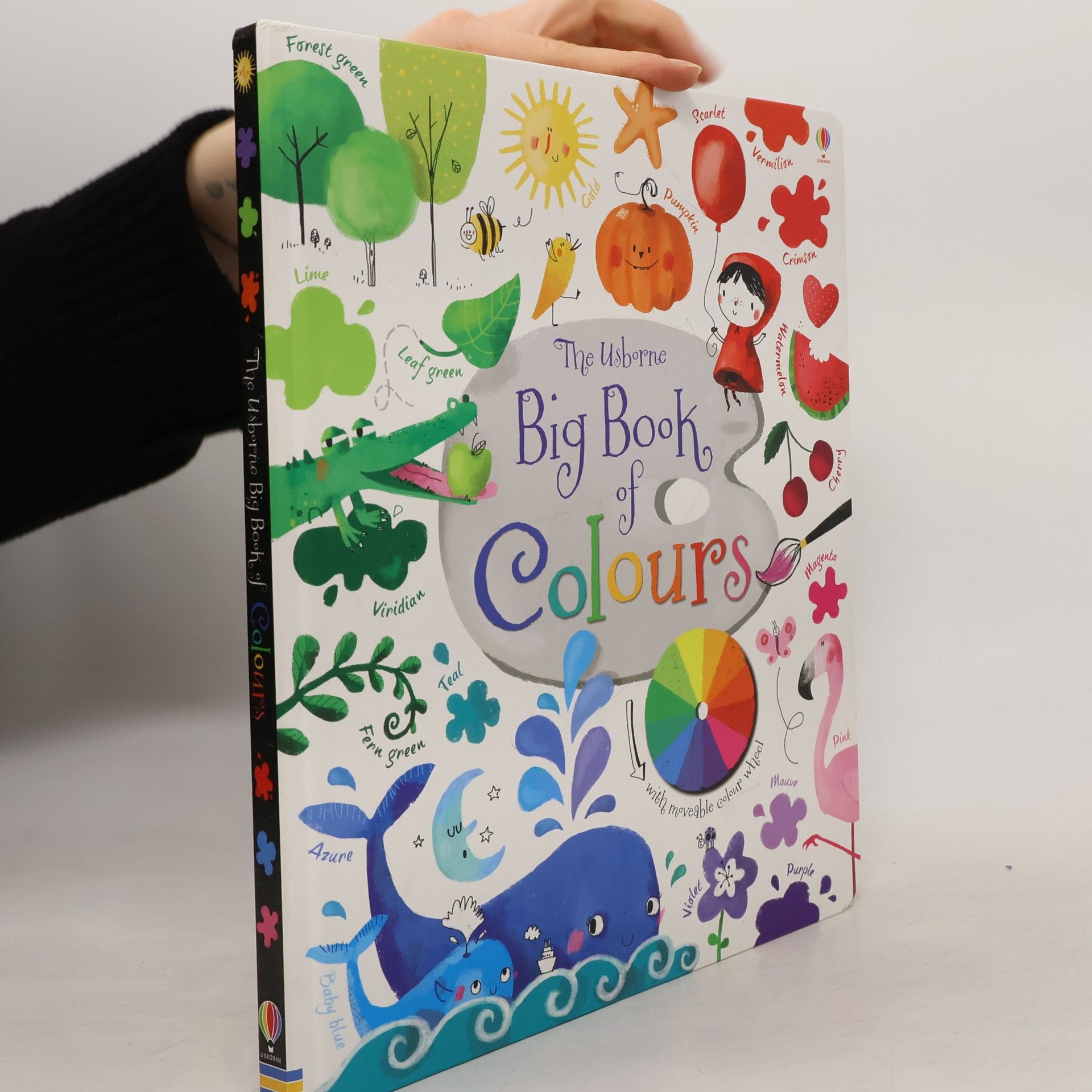 Felicity Brooks The Usborne big book of colours