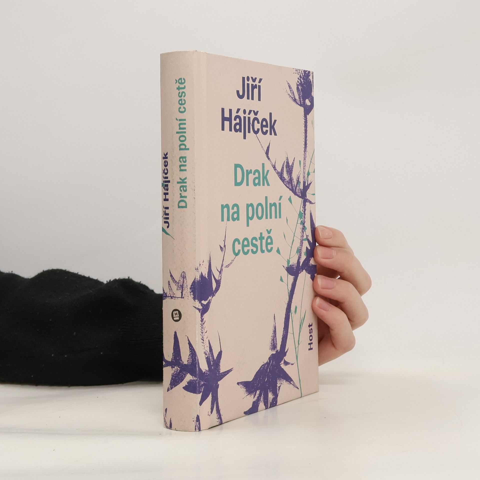 Jiří Hájíček Drak na polní cestě