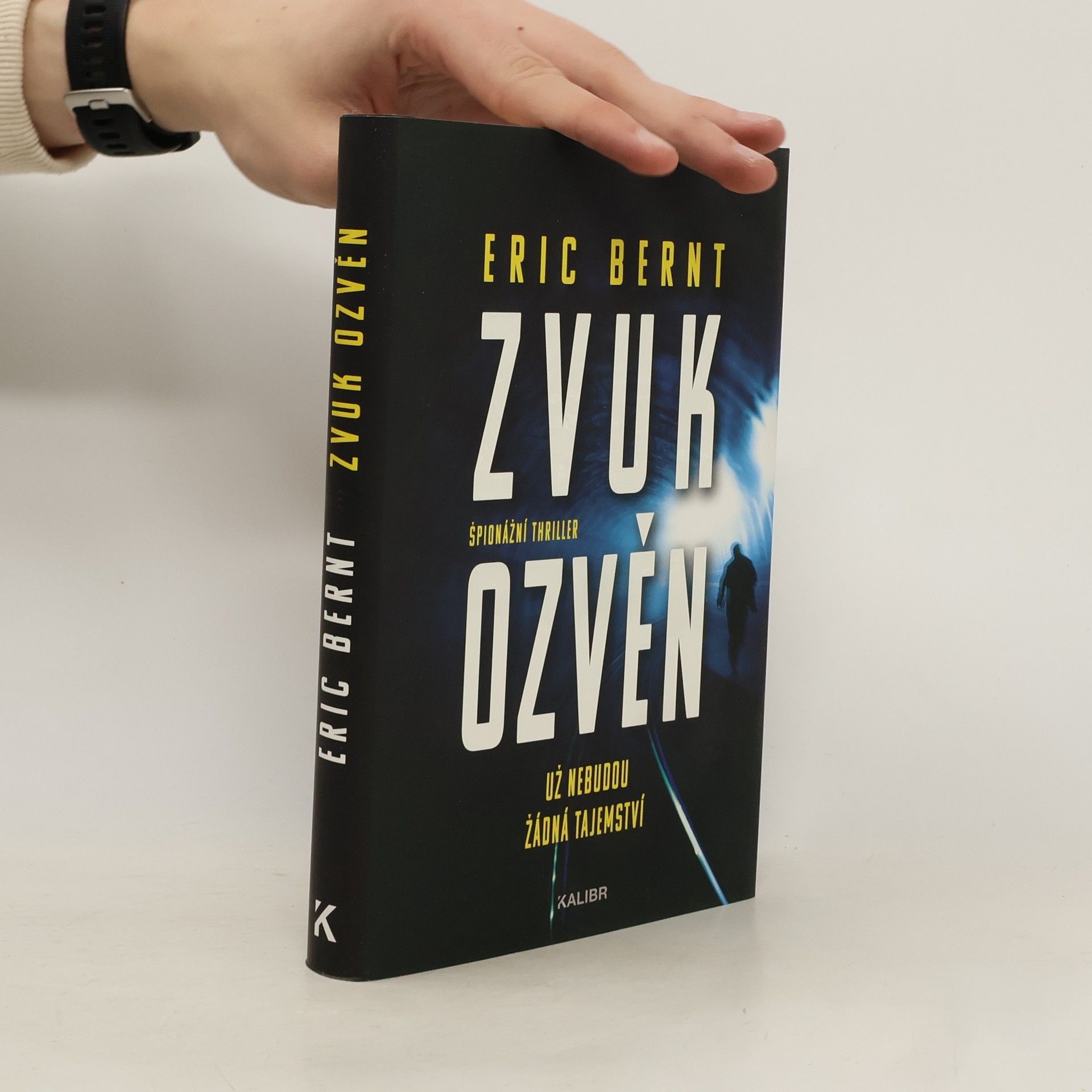 Eric Bernt Zvuk ozvěn