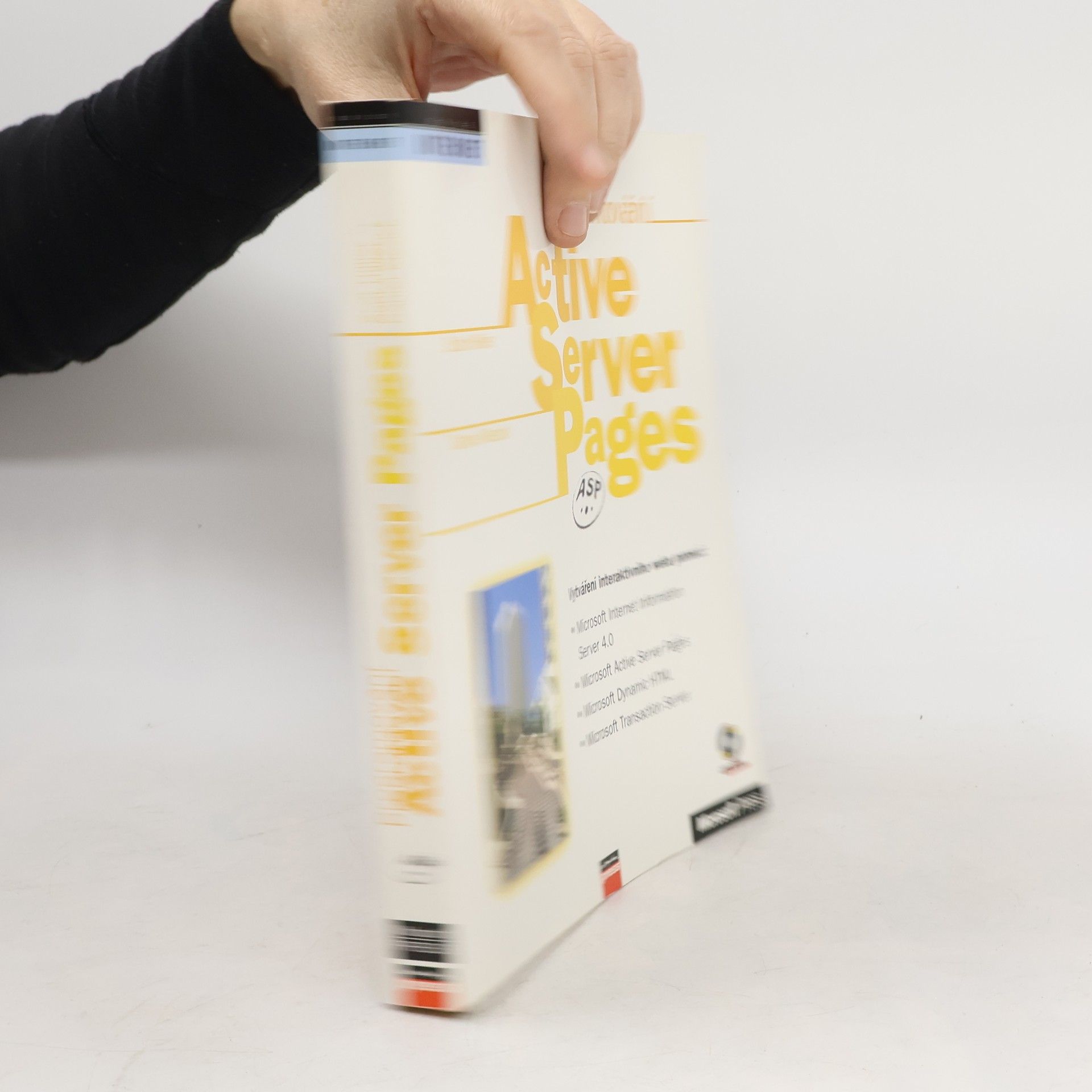 Scot Hillier Programování Active Server Pages