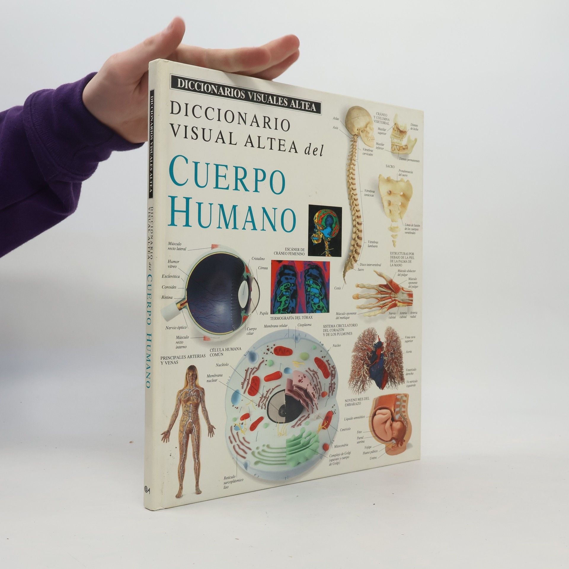 Auteurscollectief Diccionario visual Altea del cuerpo humano