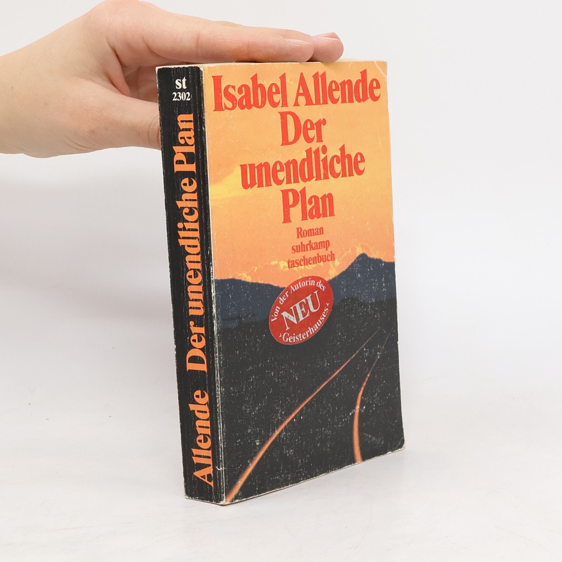 Isabel Allende Der unendliche Plan