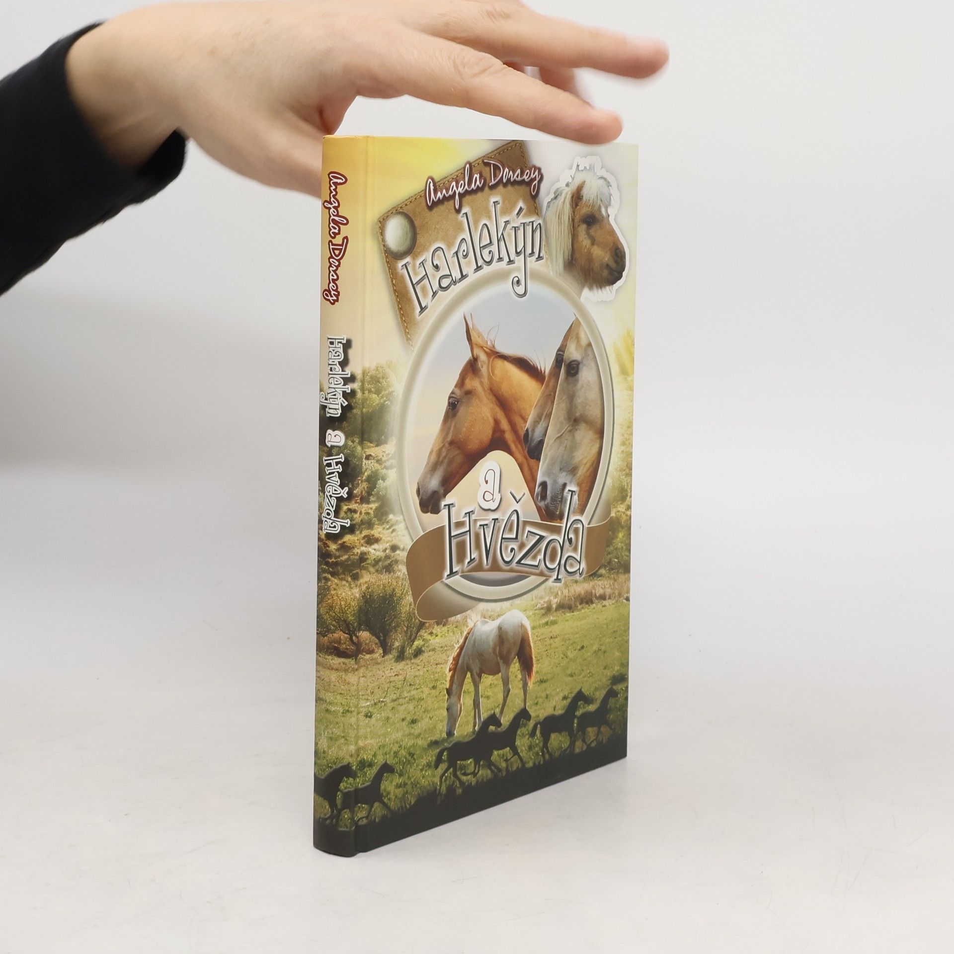 Angela Dorsey Harlekýn a Hvězda