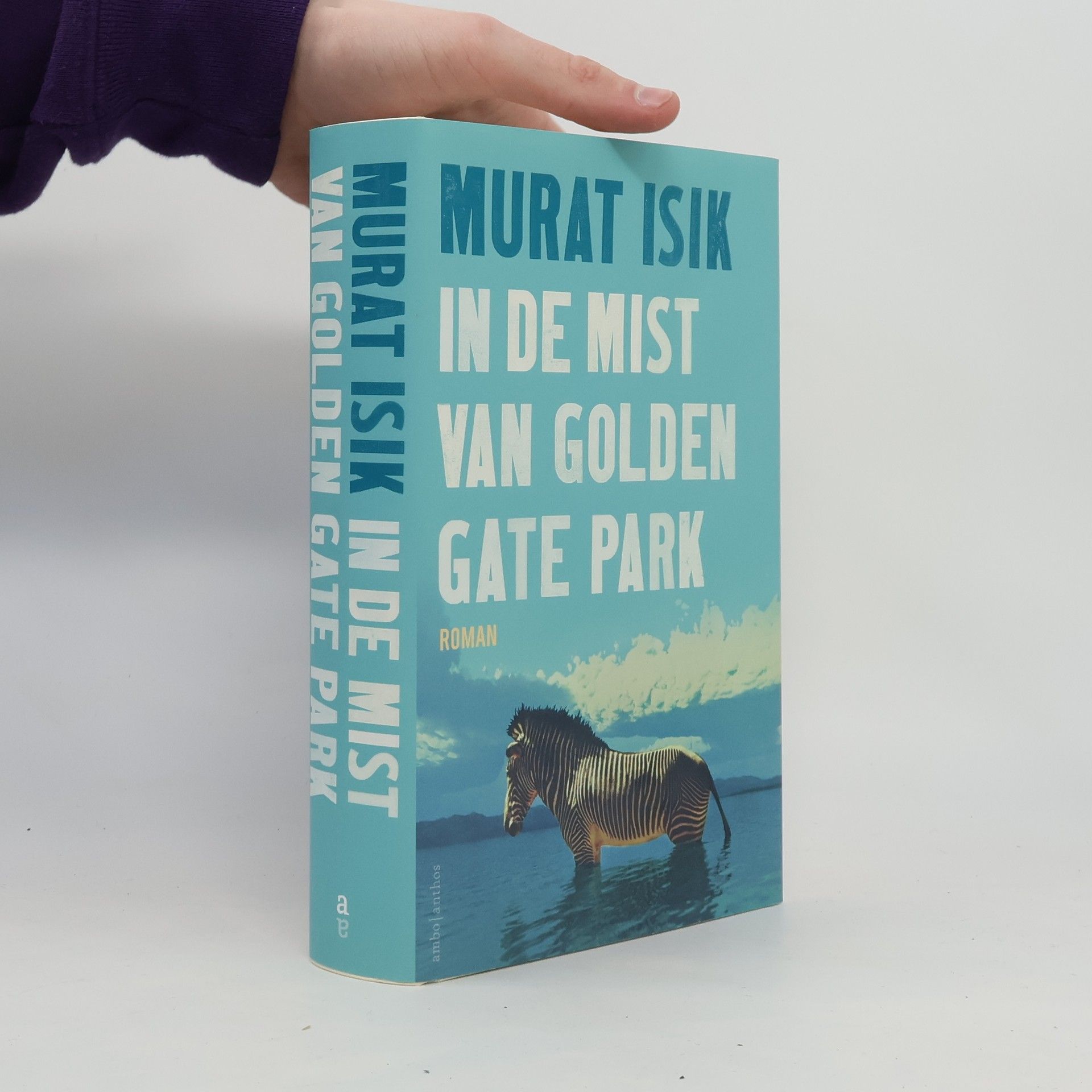 In de mist van Golden Gate Park